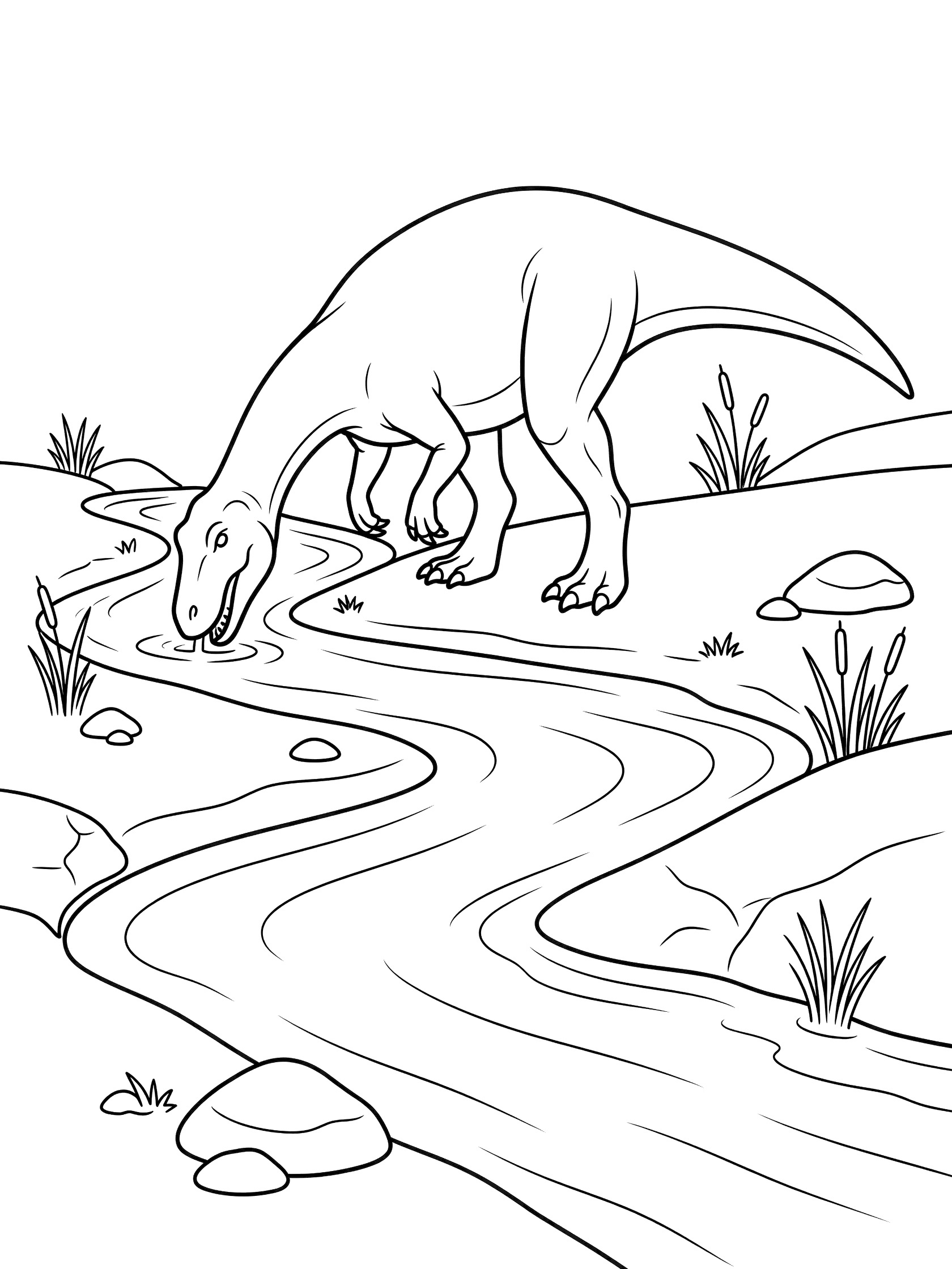 Line art coloring page showing an Albertosaurus dinosaur drinking from a river with rocks, reeds, and water ripples around its feet