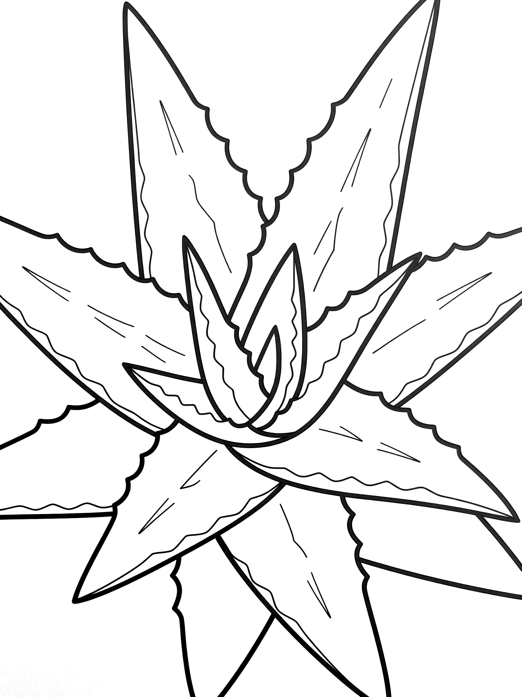 Black and white coloring page of aloe vera leaves in geometric style with thick outlines, serrated zigzag edges, and overlapping plump triangular forms.