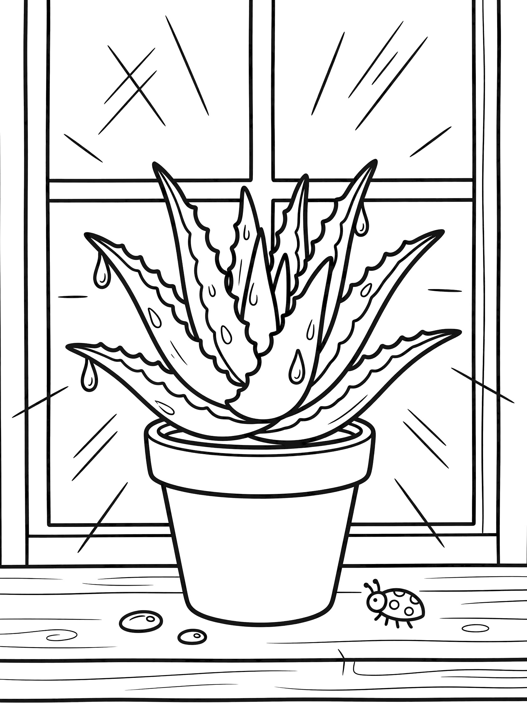 Black and white line art of aloe vera plant with spiky leaves in a round pot on wooden windowsill, sunlight rays from window, small ladybug nearby