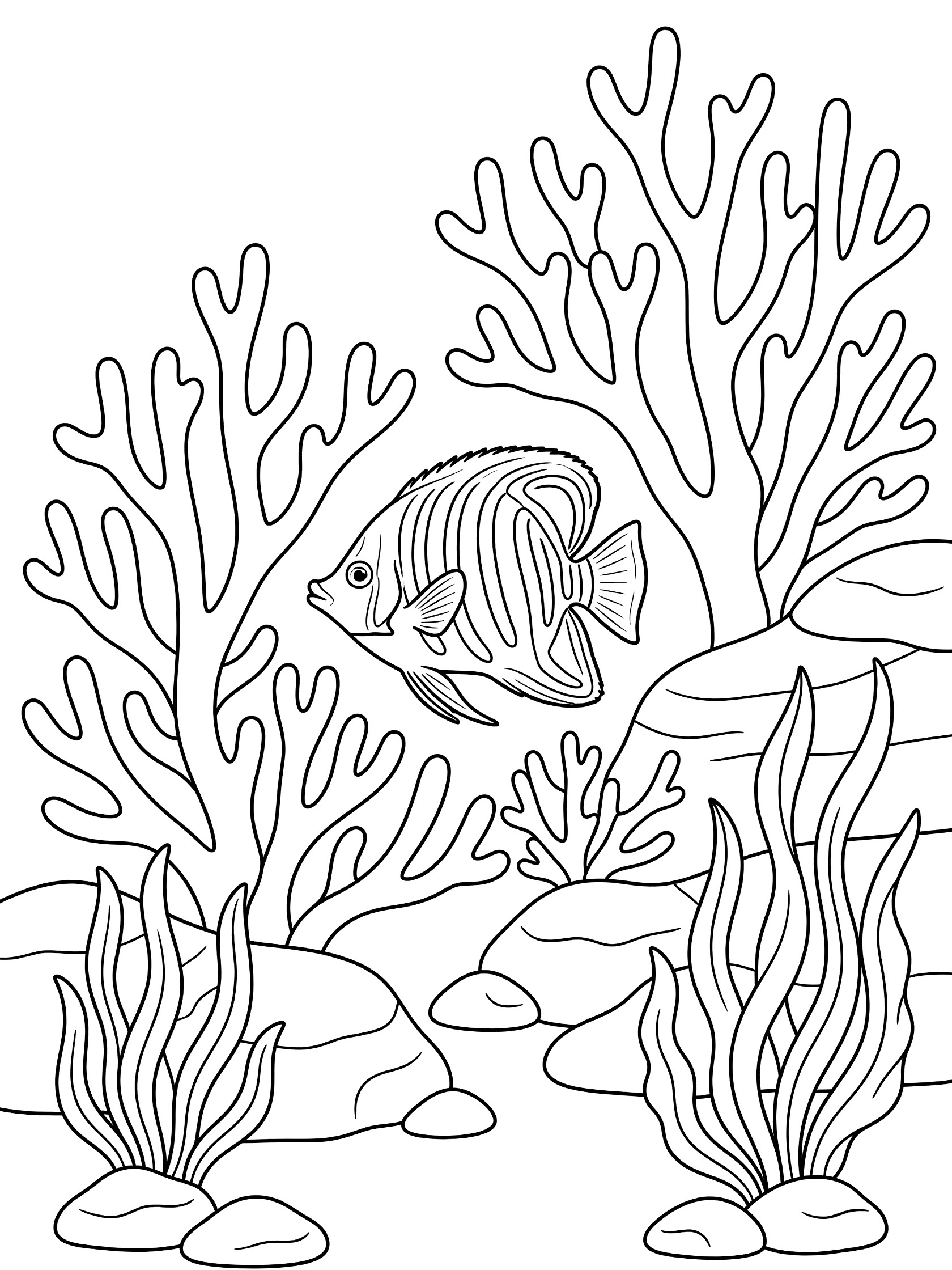Black and white line art coloring page showing a striped angelfish near branching corals, wavy seaweed and small rocks on white background