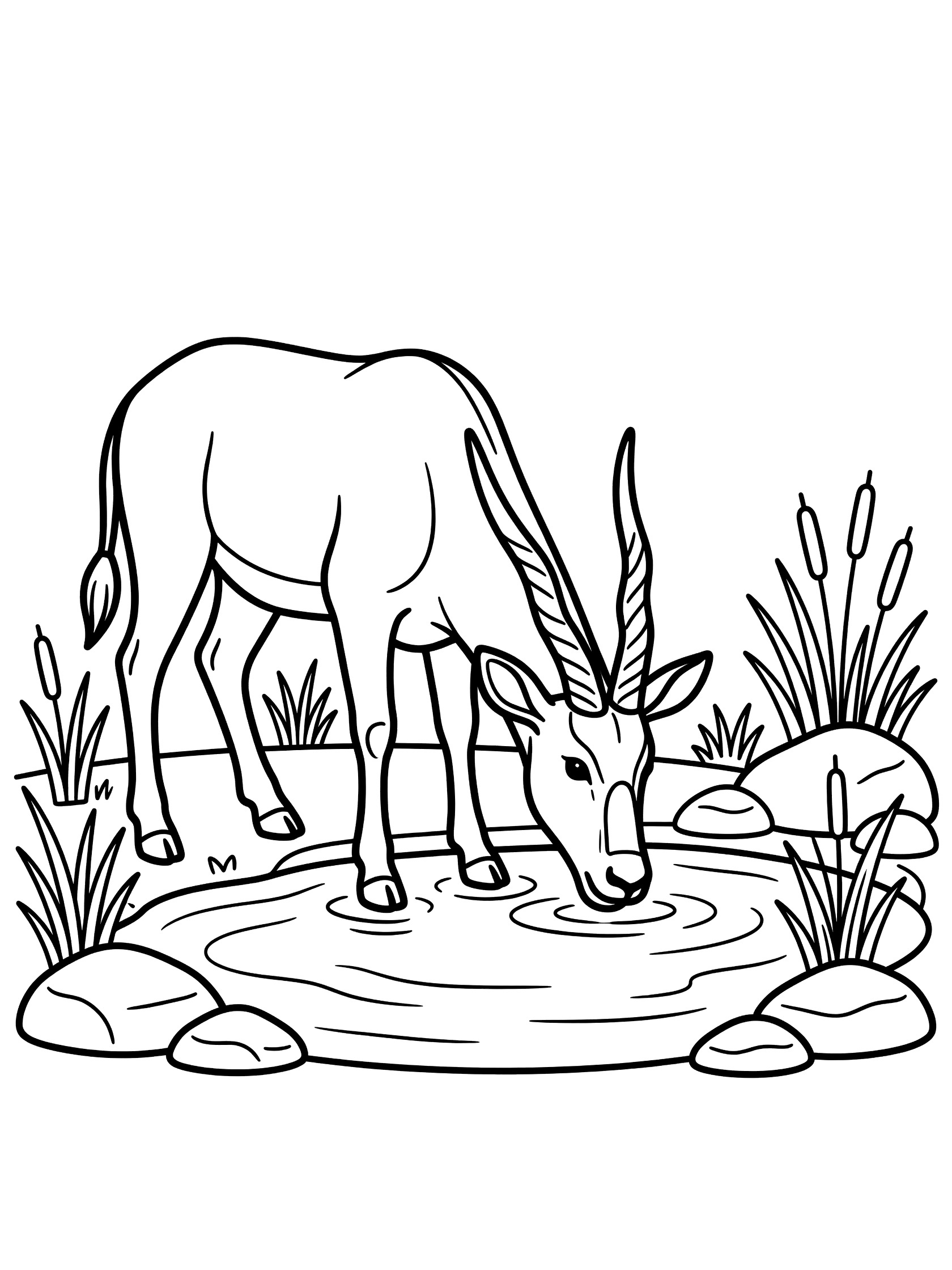 Black and white line art coloring page showing a cartoon antelope bending down to drink from a round pond surrounded by rocks and reeds. Eland themed black and white printable line art