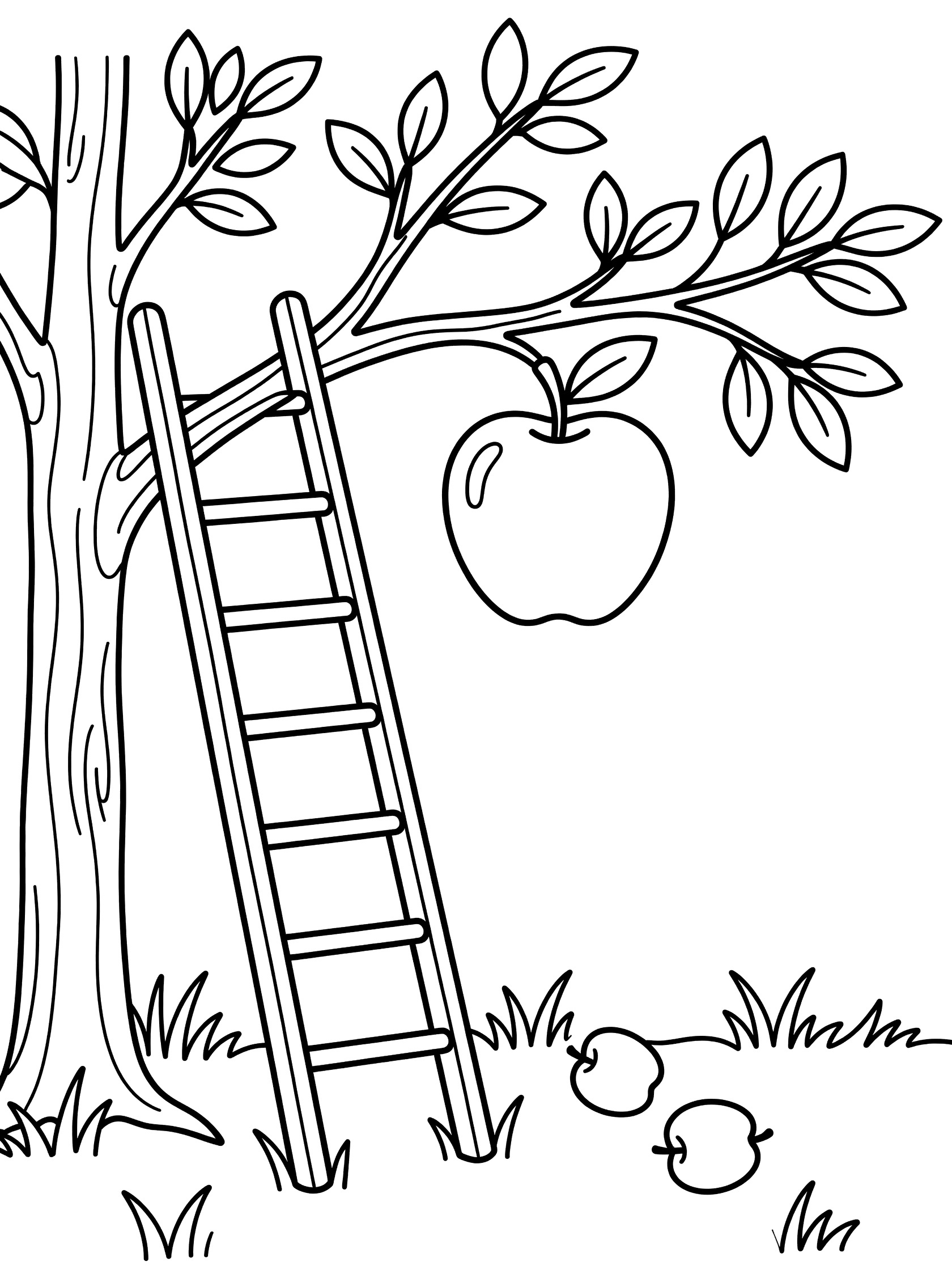 Black and white line art of a ripe apple on a tree branch beside a ladder leaning against the trunk, with green leaves, grass, and fallen apples below.