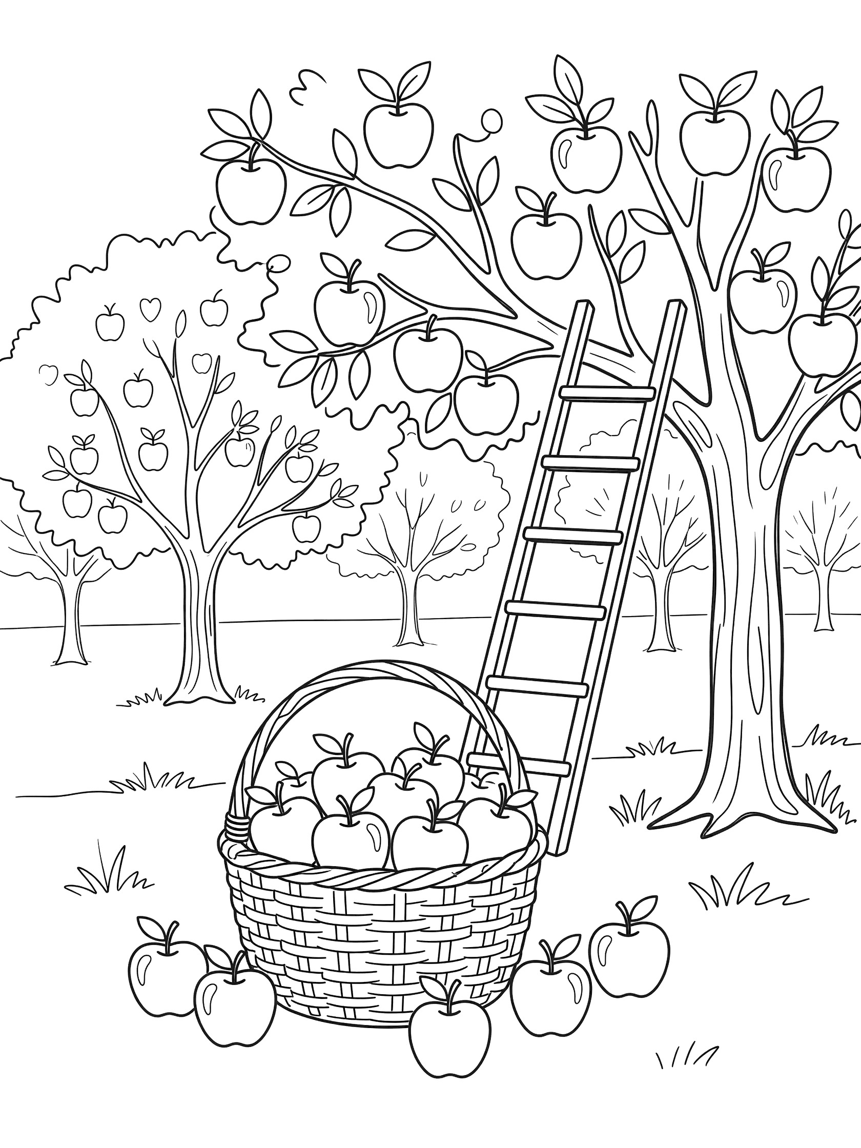 Printable coloring page showing apple orchard scene with trees full of red apples, leaning ladder, and overflowing basket for homemade apple pie
