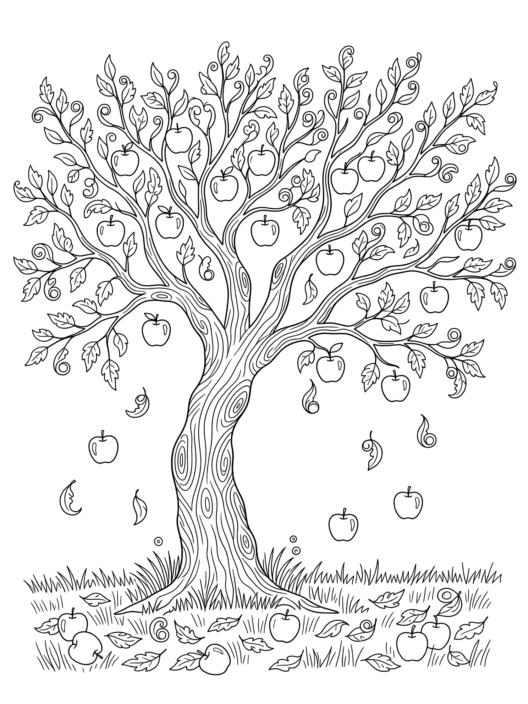 Black and white line drawing of an apple tree with twisting trunk, curly leaves falling, apples on branches and ground, and grassy base.