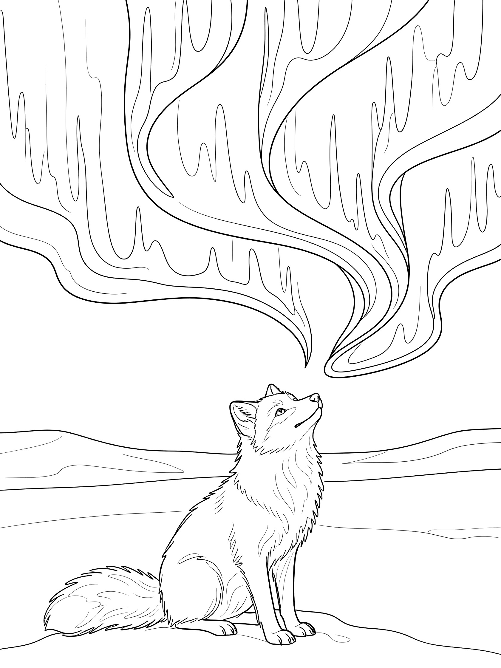 Black and white line art coloring page showing an arctic fox with fluffy tail and pointed ears sitting on snowy ground, gazing up at flowing northern lights streams across the sky. Aurora Borealis themed black and white printable line art
