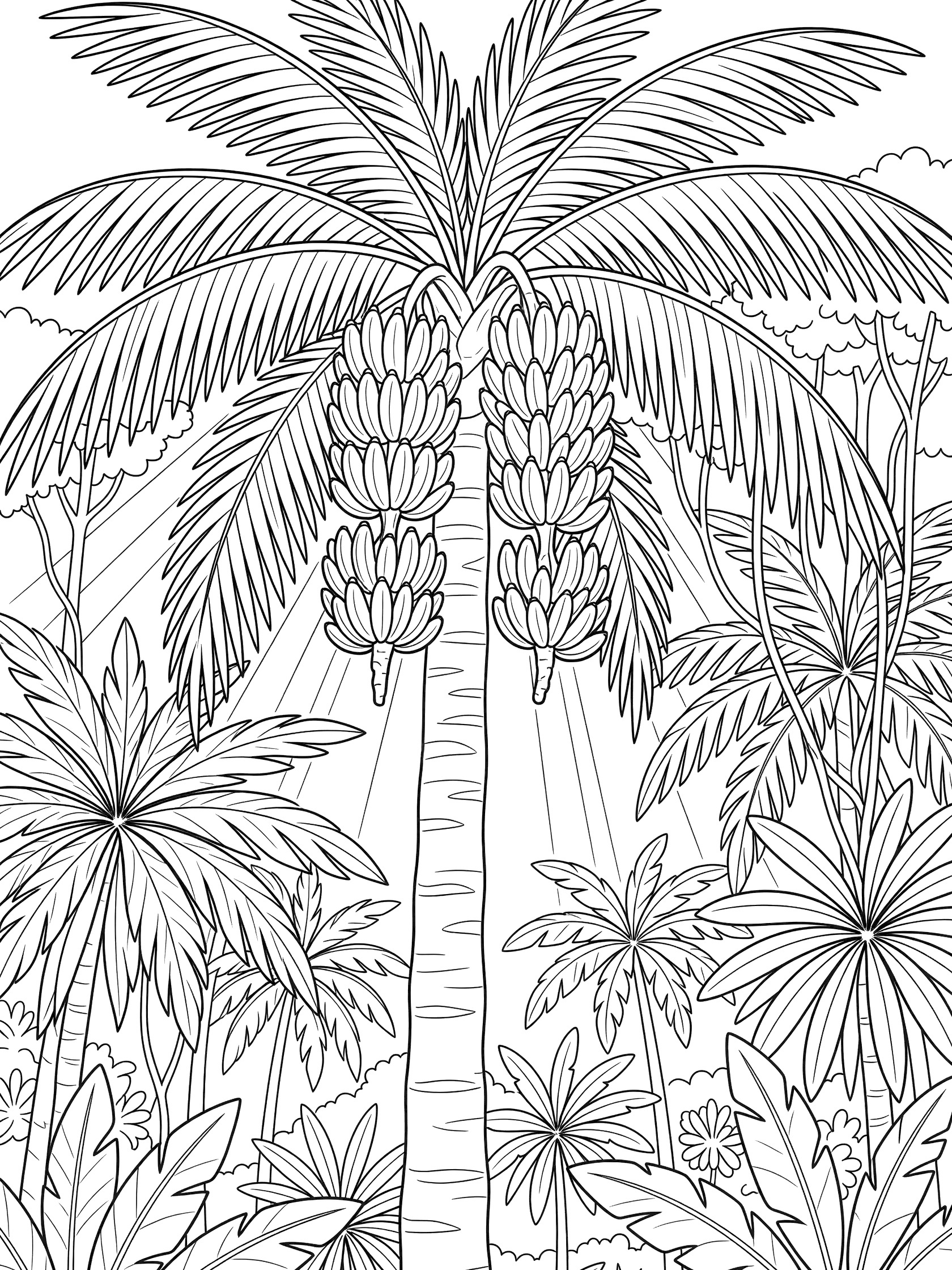 Line art coloring page showing green and yellow bananas hanging from a palm tree surrounded by tropical leaves and vines with sun rays