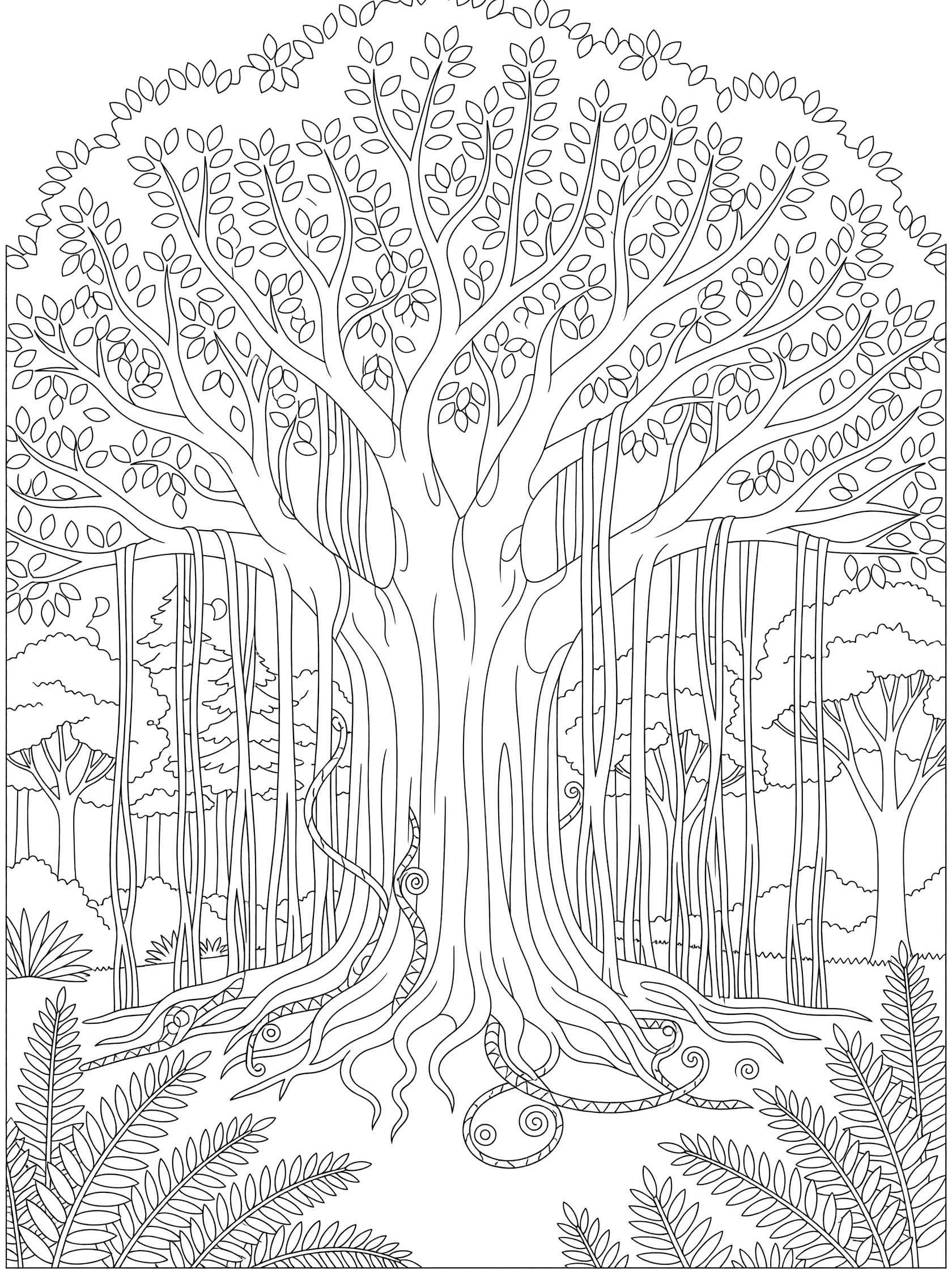 Black and white coloring page of a large banyan tree with branching limbs, hanging aerial roots, rounded leaves, ferns, and vines in an Asia Forests setting.