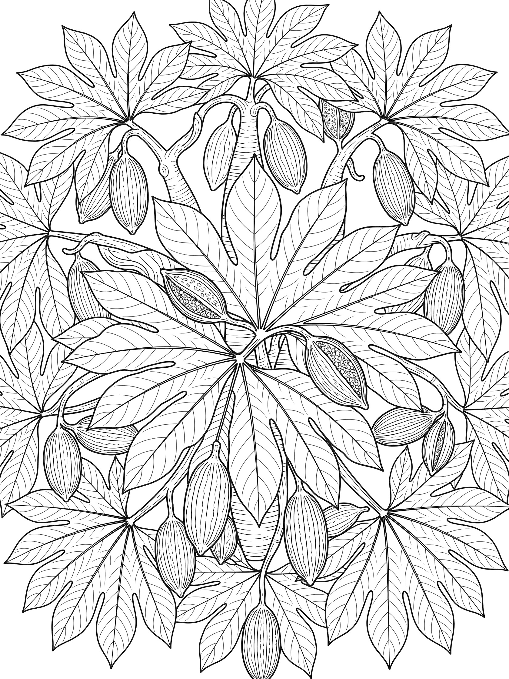 Close-up coloring page of baobab tree with palmate leaves, dangling pods, and symmetrical pattern in bold line art.