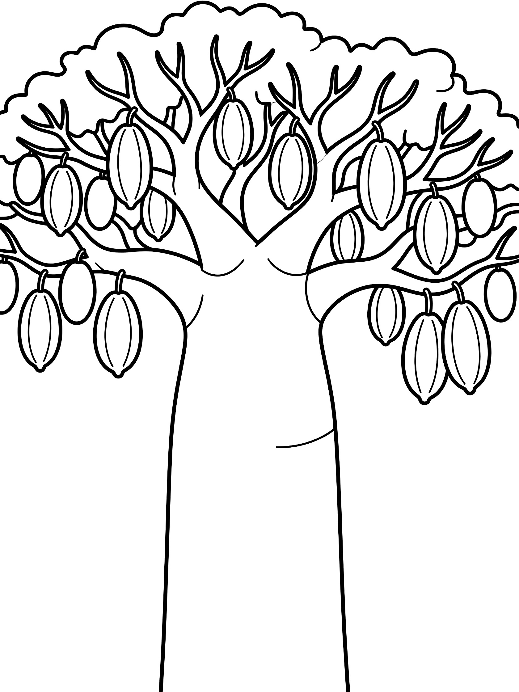 Black and white coloring page showing a baobab tree with wide trunk, spreading branches, and large pods dangling from twigs.