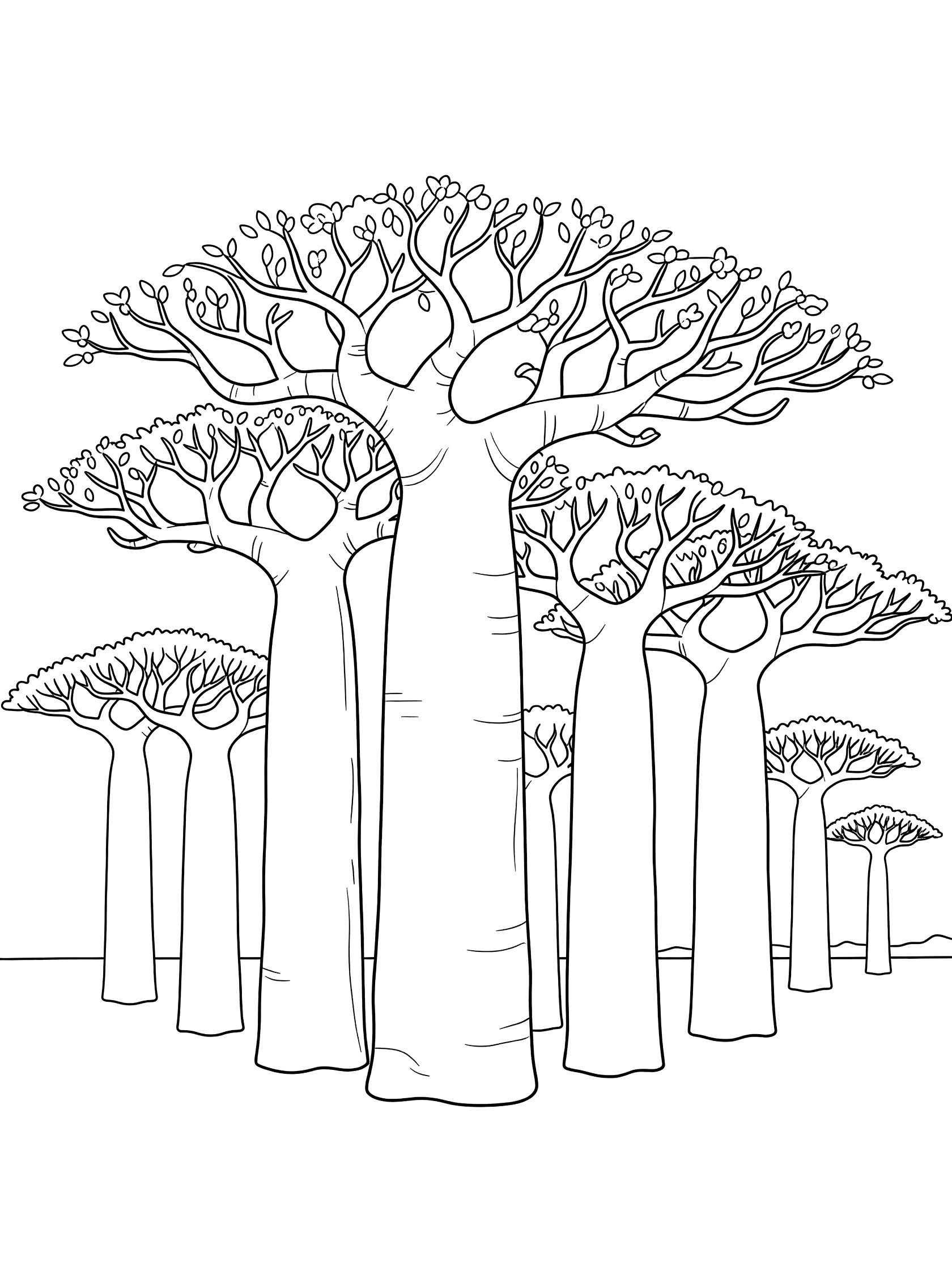 Black and white line art coloring page of several baobab trees with thick trunks and leafy branches clustered together on a plain.