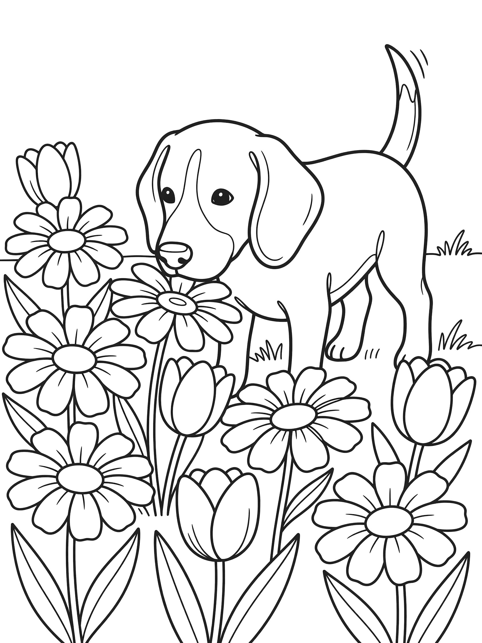 Black and white line art coloring page showing a beagle puppy with floppy ears sniffing a bunch of daisies and tulips, tail wagging, on grass.