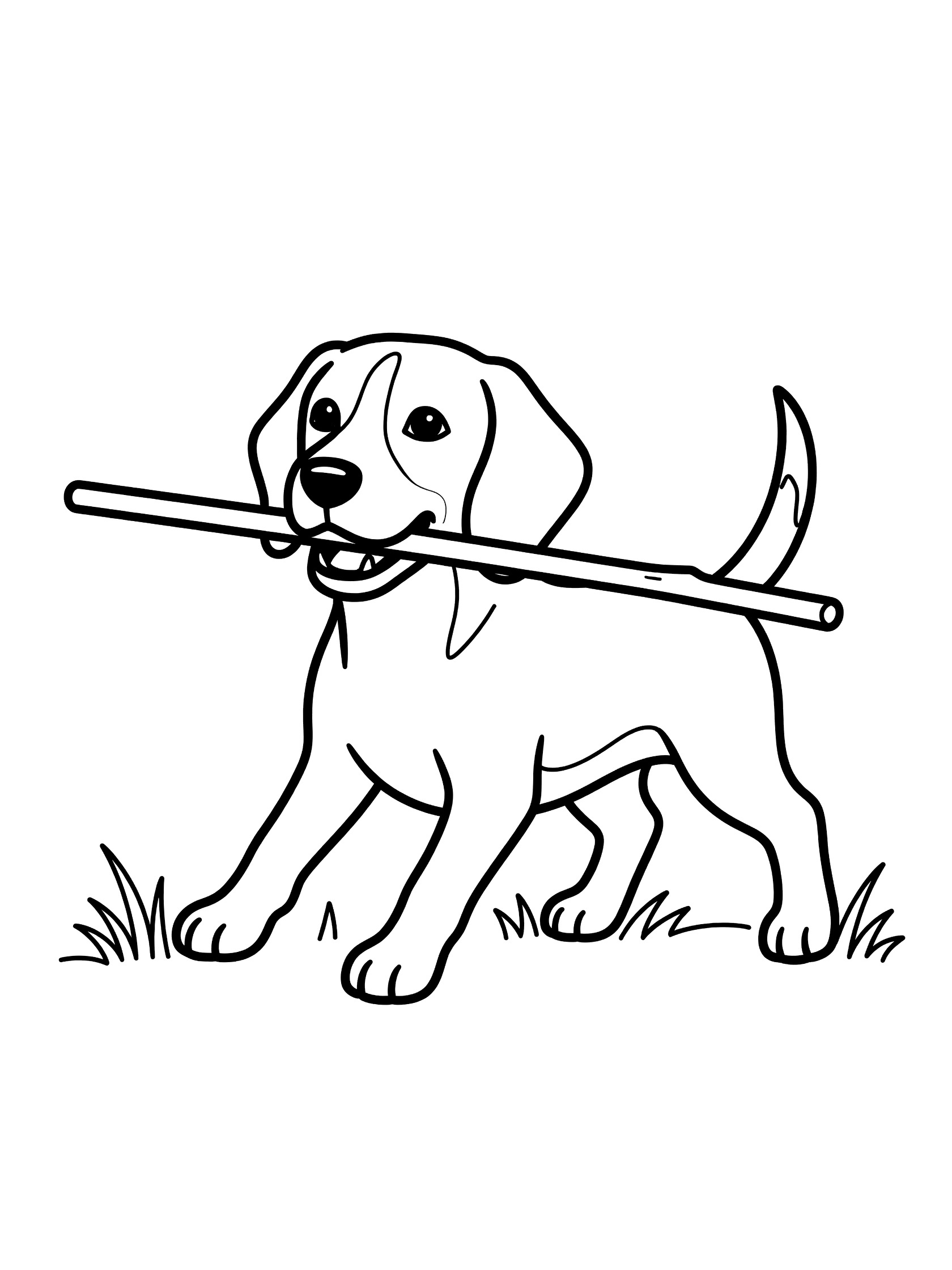 Black and white line art coloring page showing a beagle puppy carrying a long stick in its mouth, standing on grass, bold outlines for easy coloring.