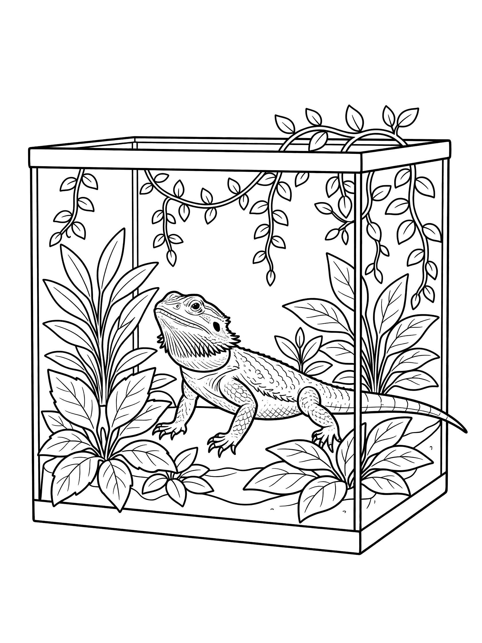 Black and white coloring page of a bearded dragon lizard inside a clear terrarium surrounded by leafy plants and vines.