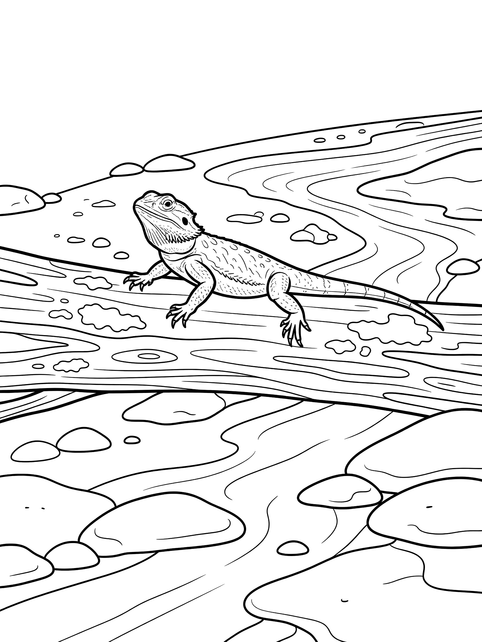Black and white line art coloring page showing a bearded dragon lizard lounging on a textured log beside a stream with rocks and pebbles.