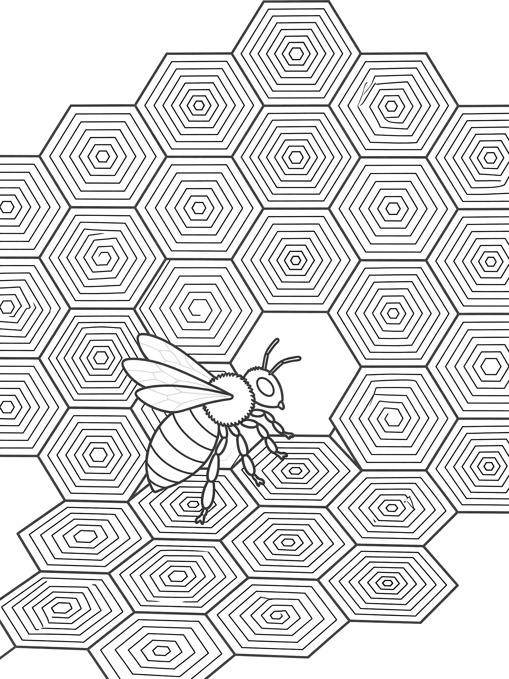 Black and white coloring page of a bee at honeycomb entrance with repeating hexagonal cells