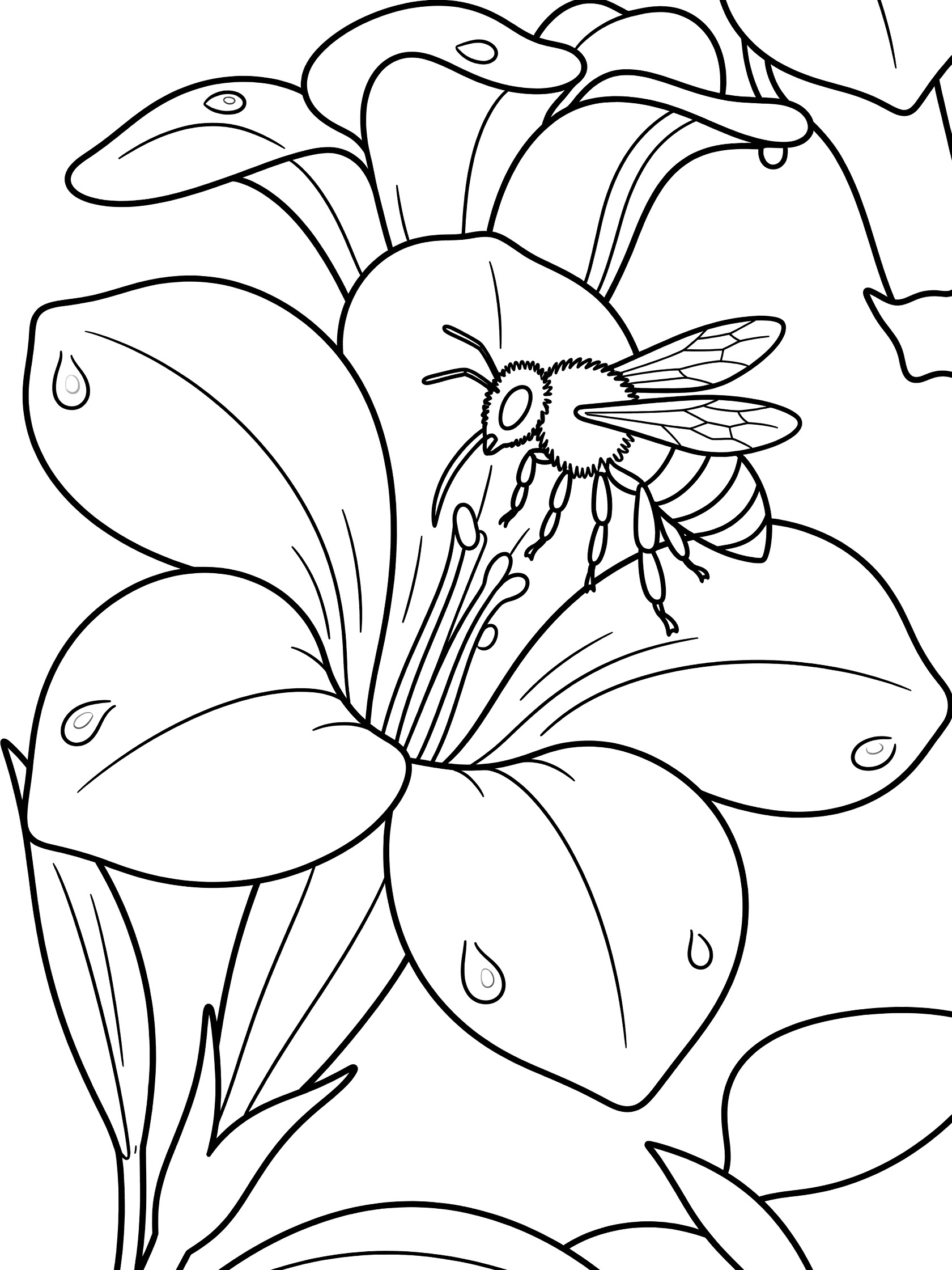 Black and white line art coloring page showing a detailed bee sipping nectar from a trumpet flower with dew drops and simple leaves.