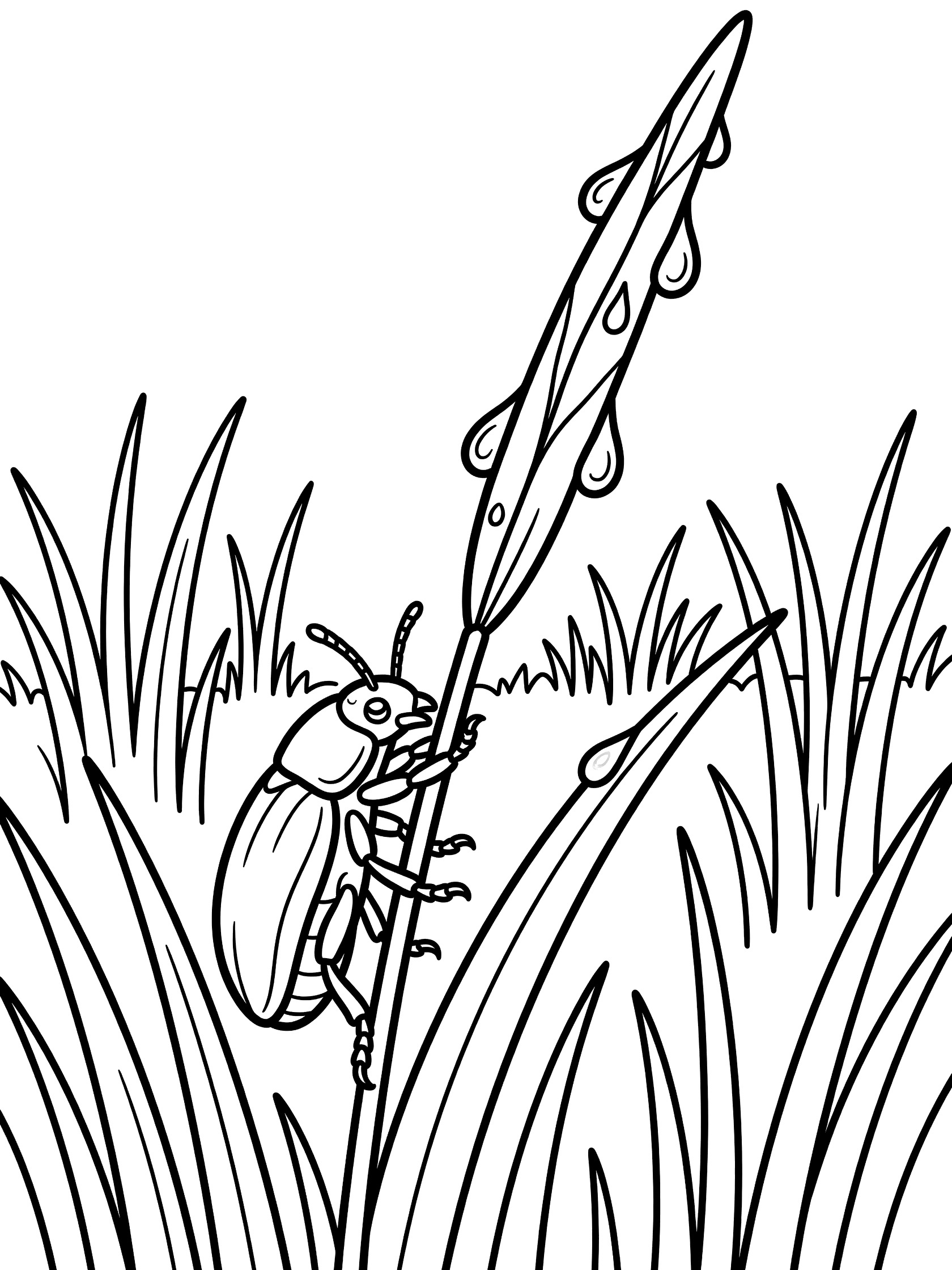 Black and white line art coloring page showing a beetle gripping and climbing a tall thin grass stalk covered in round dew drops, surrounded by shorter grass blades.