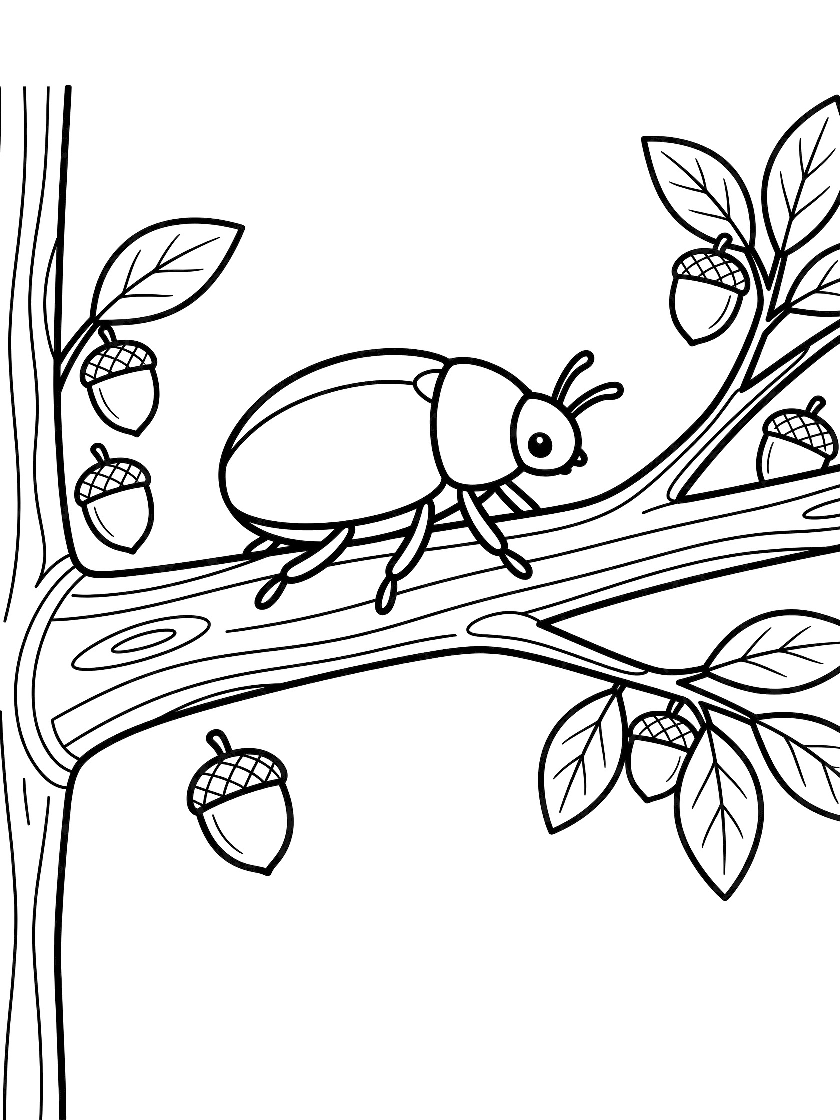 Black and white line art coloring page showing a beetle on a tree branch surrounded by acorns and leaves