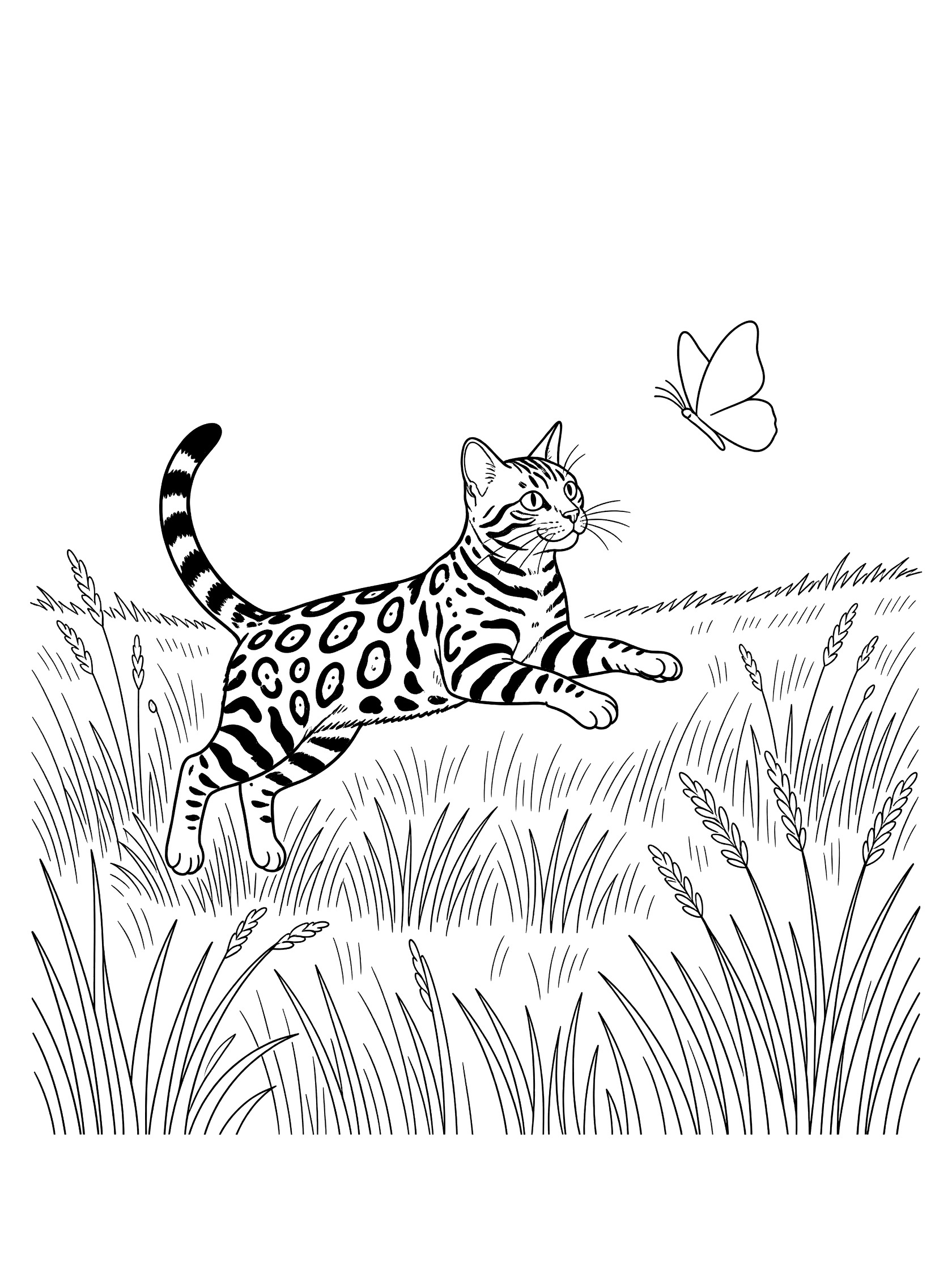 Black and white line art of a Bengal cat jumping toward a butterfly amid tall meadow grass, perfect for kids coloring.