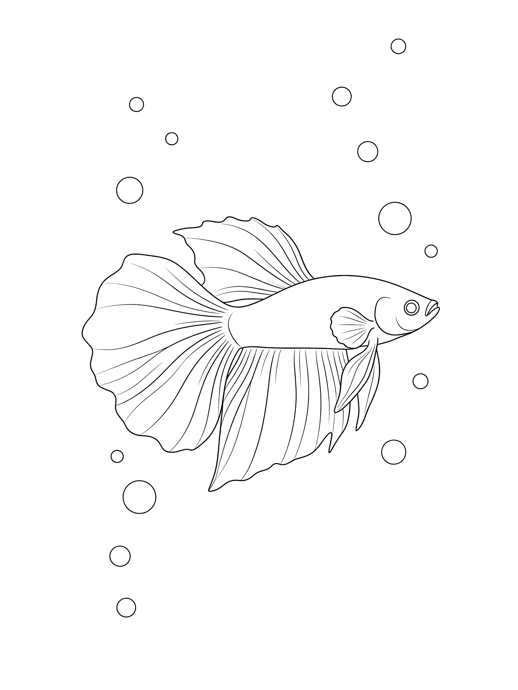 Black and white line art of a betta fish with long fins swimming among simple bubbles on white background