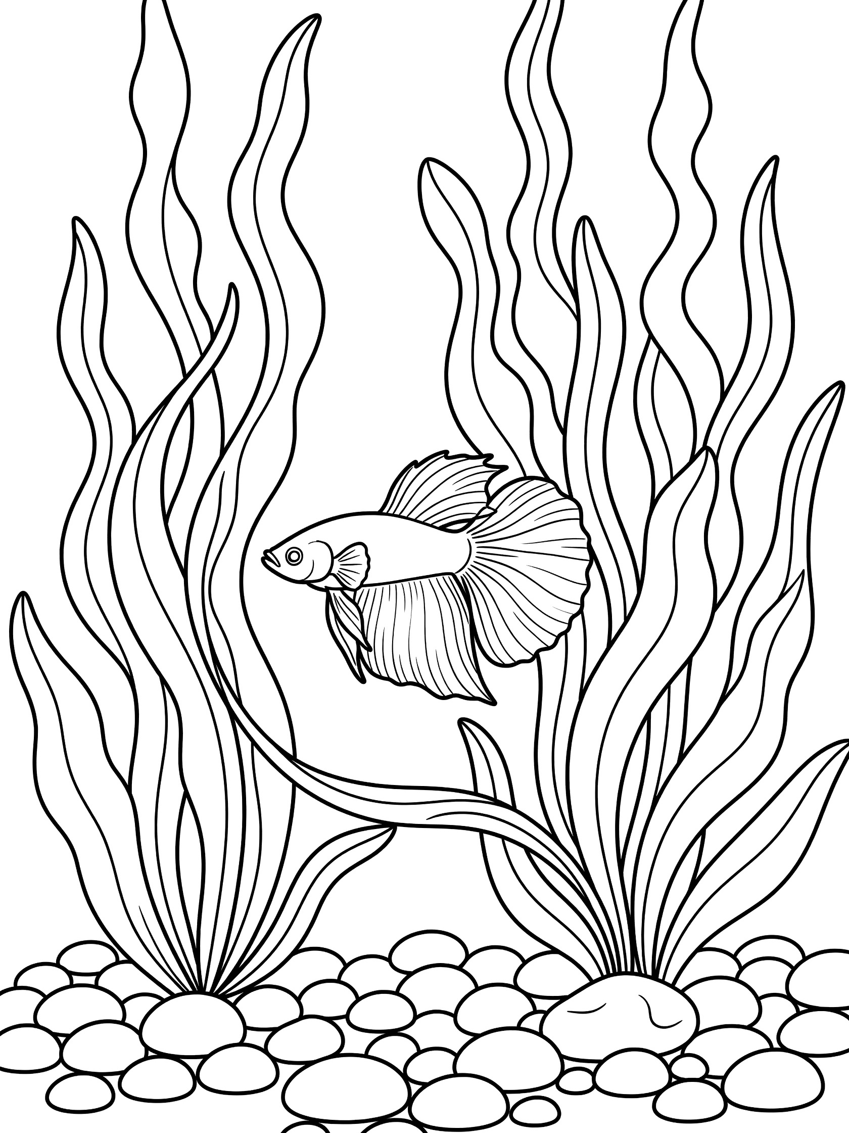Black and white line art of a betta fish with flowing fins swimming in an aquarium with tall wavy seaweed plants and round pebbles on the bottom.