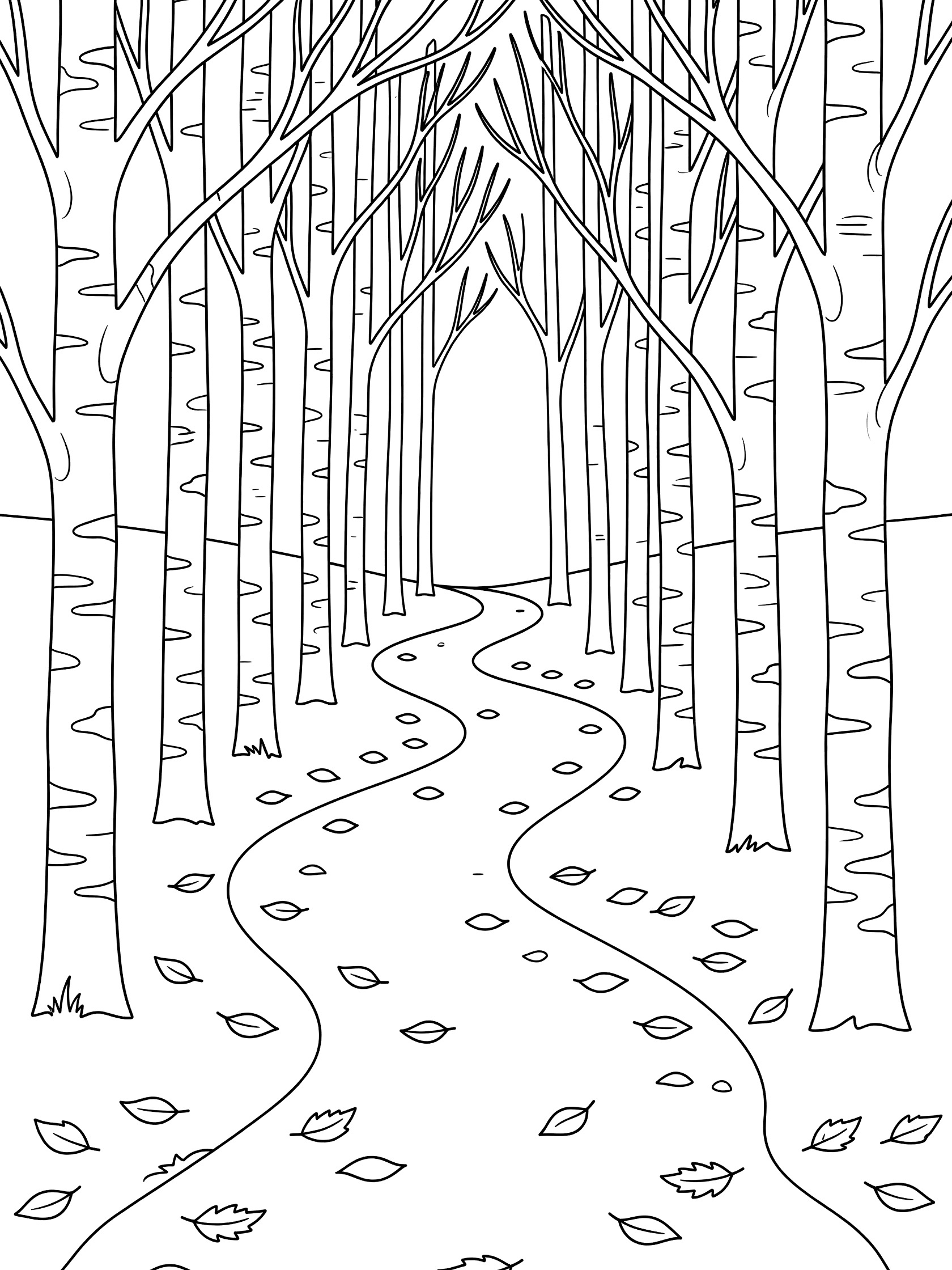 Black and white line art coloring page of a curvy path winding through a birch forest with slim tree trunks, branches overhead, and scattered leaves on the ground.