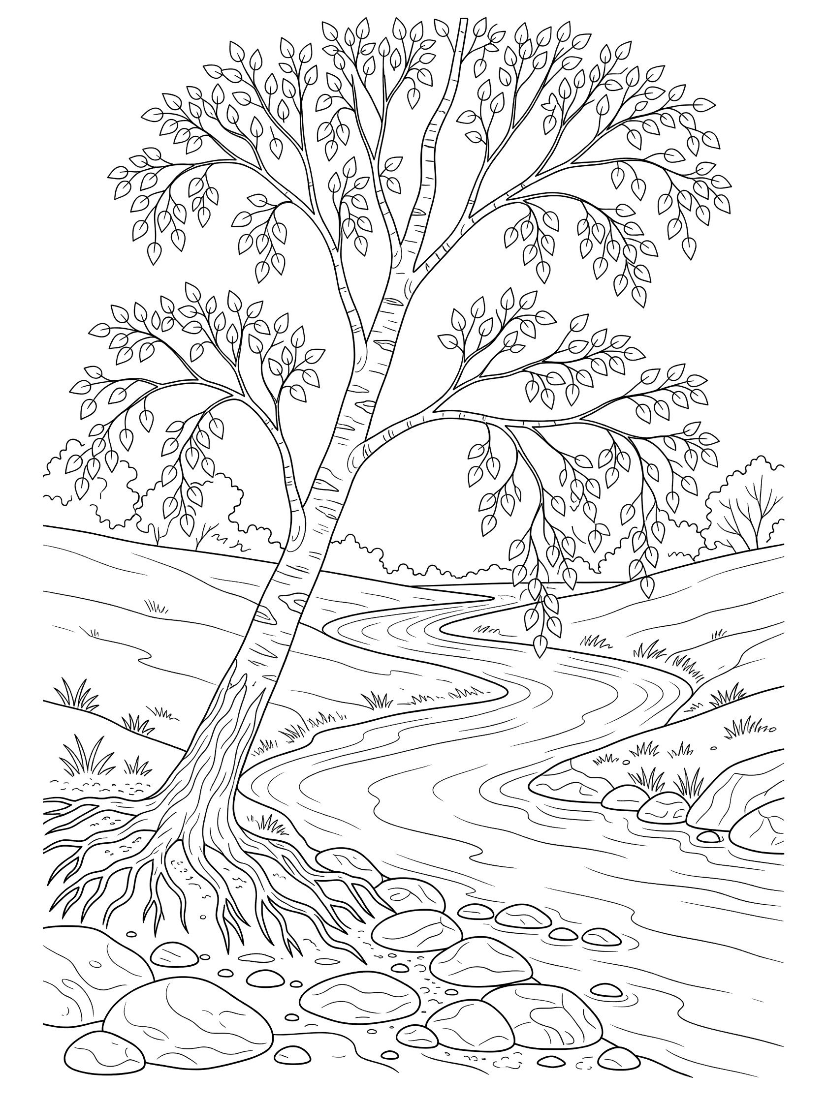 Black and white line art coloring page showing a birch tree with white bark leaning over a curving river with rocks on the bank, exposed roots, and grassy hills.