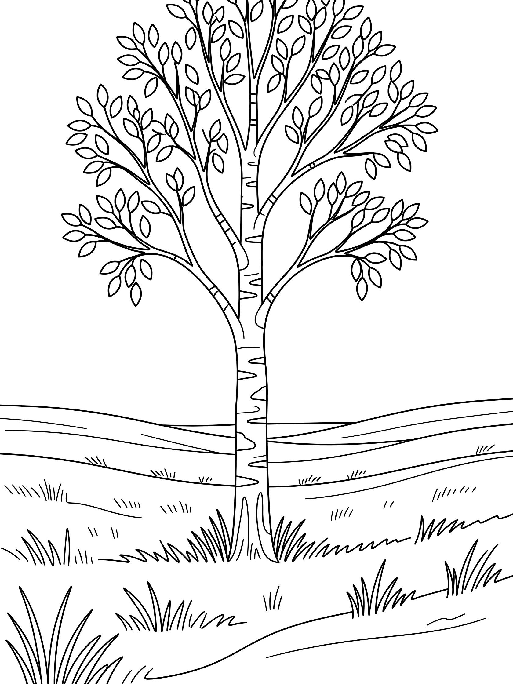 Black and white coloring page of a single tall birch tree standing in grassy hills with simple leaves and clean outlines.