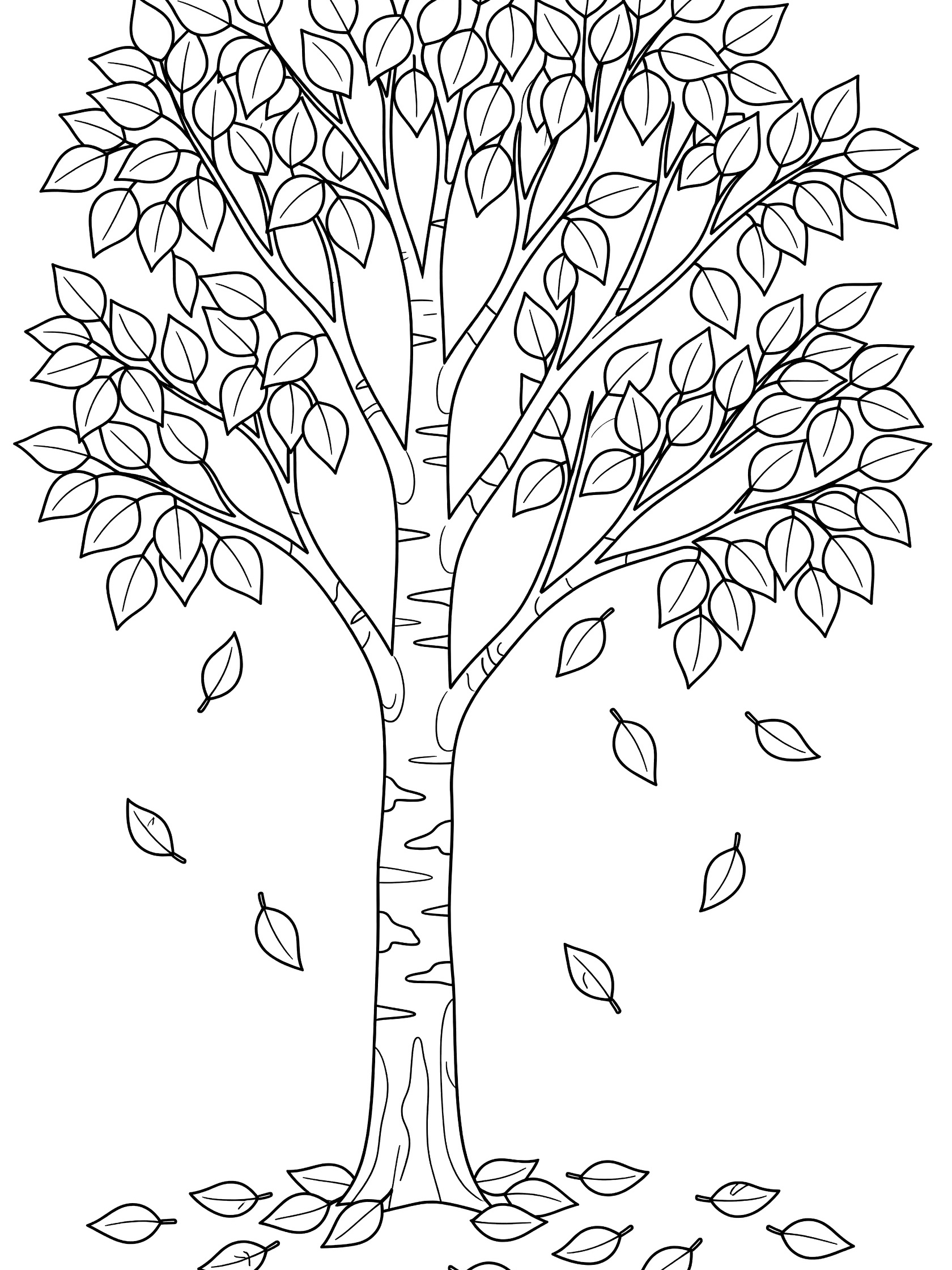 Black and white coloring page of a birch tree with detailed bark, leafy branches, falling triangular leaves, and leaves on the ground.