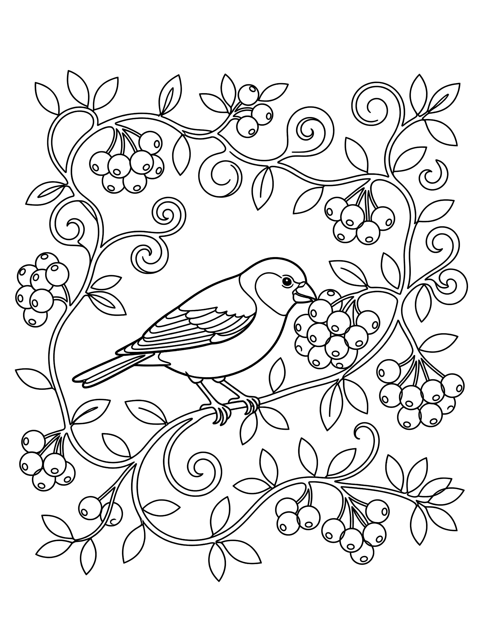 Black line art coloring page showing a bird with wings and beak eating from berry clusters on vines with leaves and swirls. Finch themed black and white printable line art