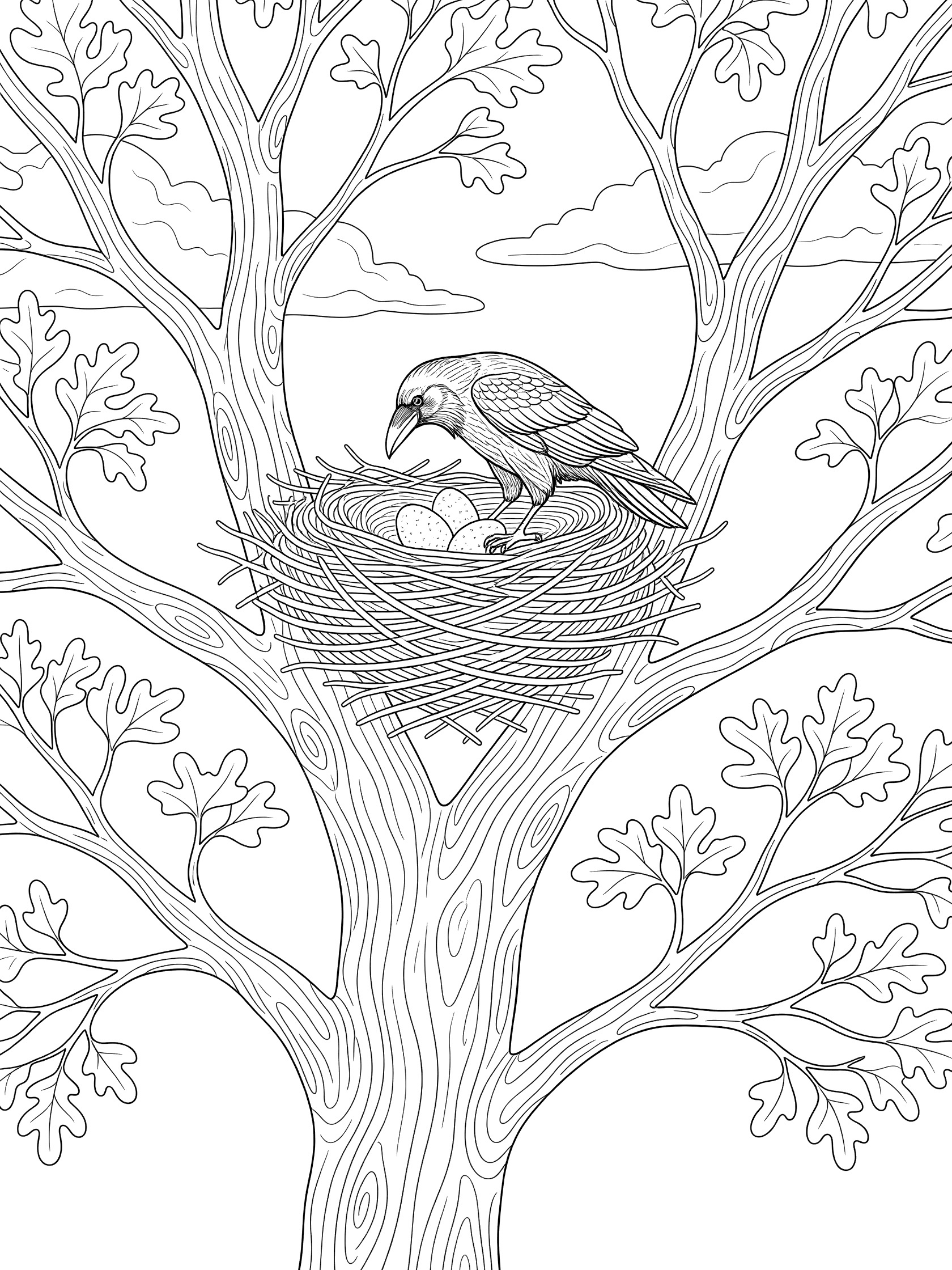Black and white line art coloring page showing a bird in a twig nest with three eggs on a tree branch, surrounded by oak leaves and clouds. Raven themed black and white printable line art