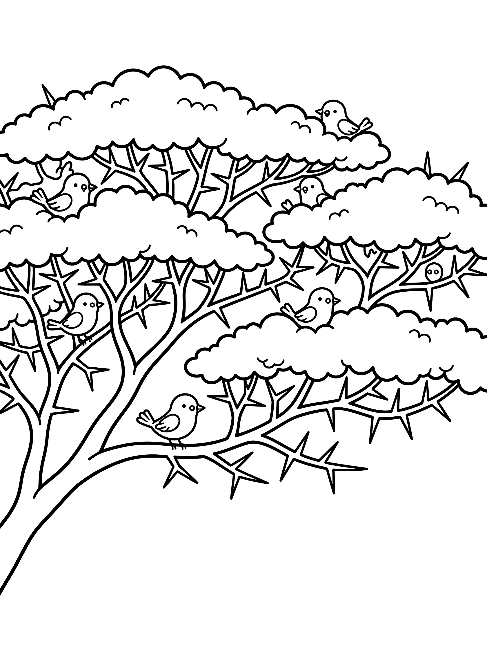 Black and white line art coloring page showing a tree with wide fluffy canopy, thorny branches, and several cute birds perched on branches. Umbrella Thorn Acacia Tree themed black and white printable line art