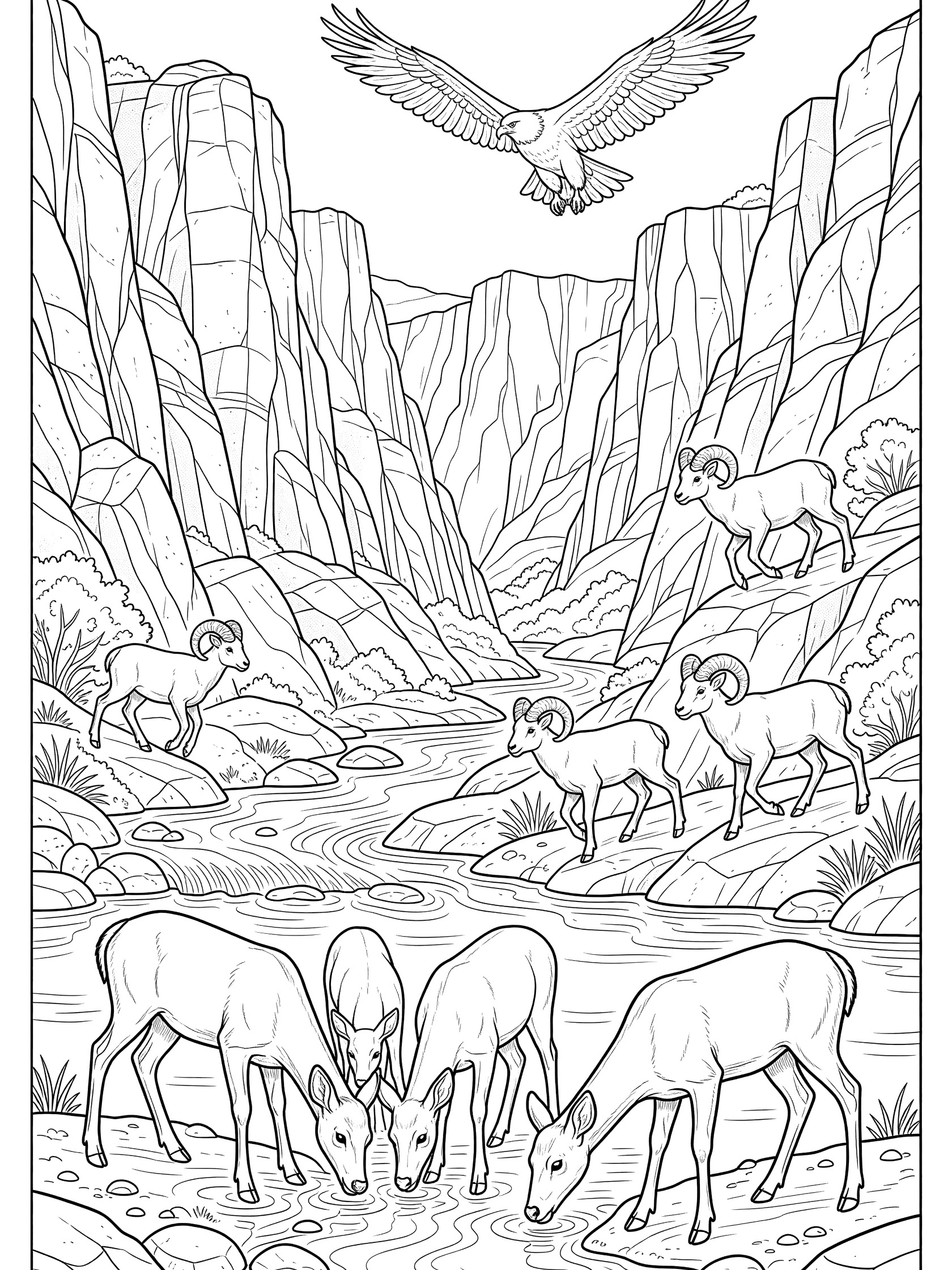 Black and white line art coloring page of Black Canyon wildlife: family of mule deer drinking from river, bighorn sheep climbing rocks, golden eagle soaring above canyon cliffs.