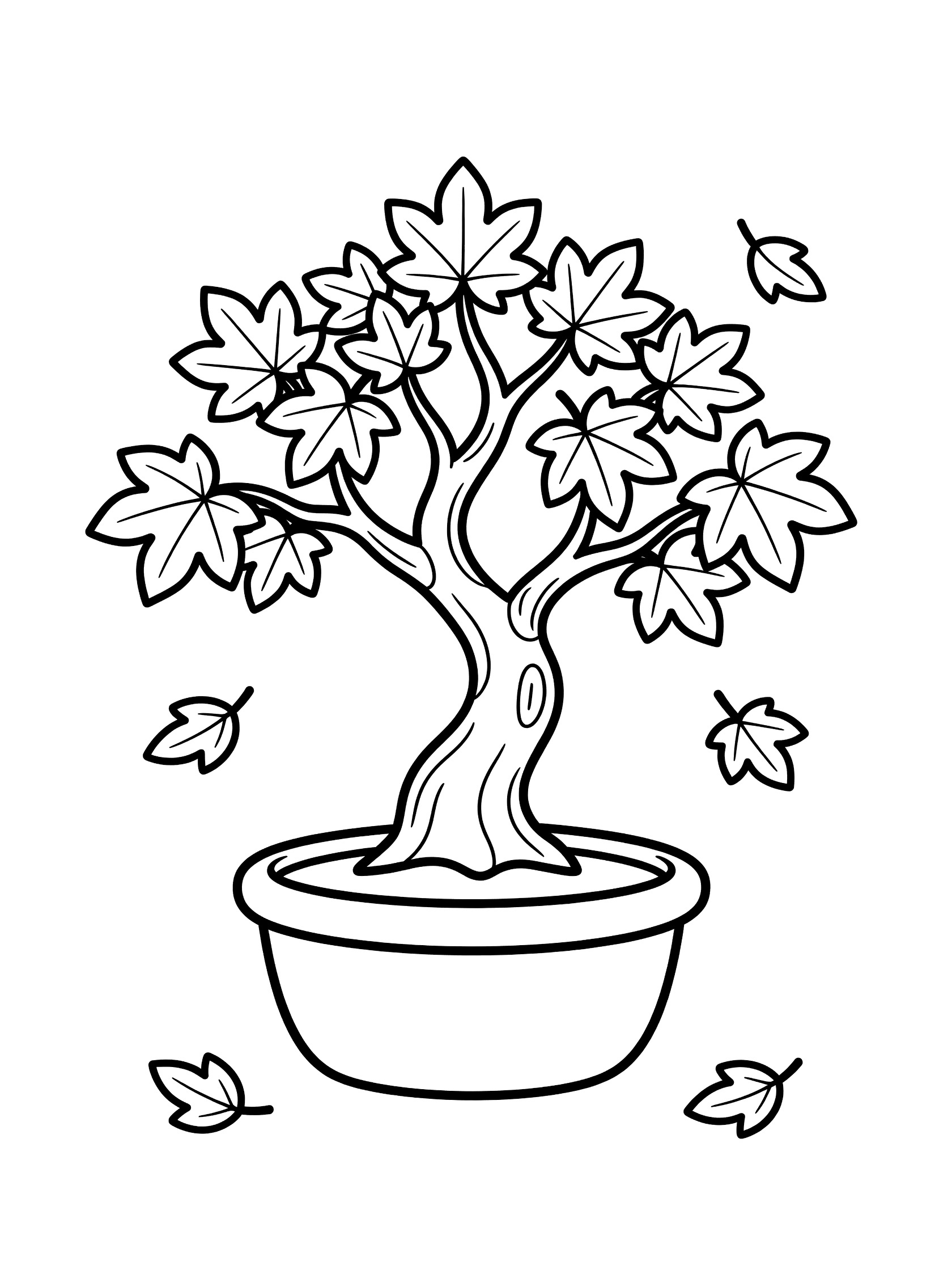 Black and white coloring page of a bonsai maple tree with lobed leaves on branches, thick trunk in a round pot, and scattered falling leaves.