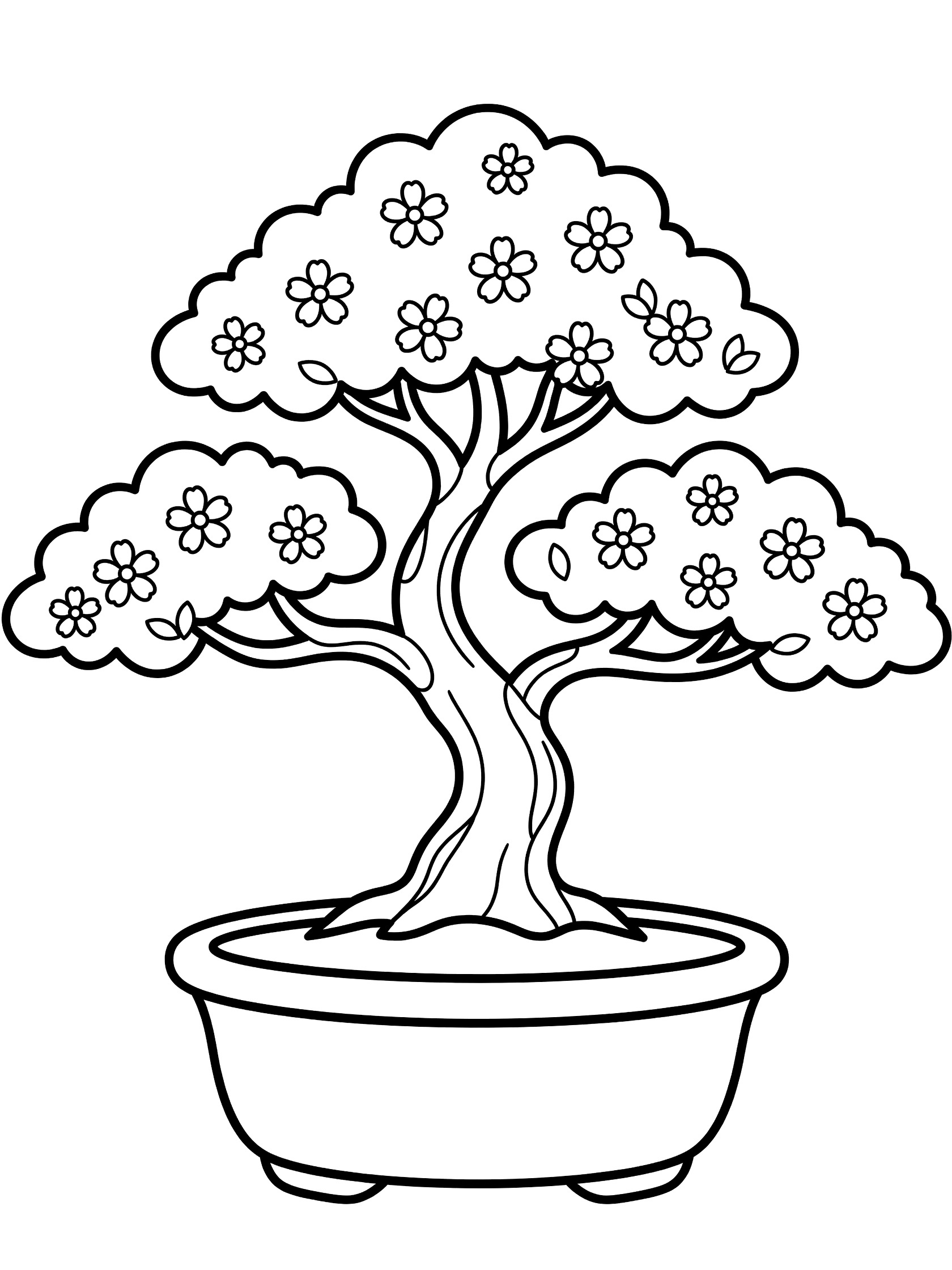 Black and white line drawing of a bonsai tree with fluffy leaves, small flowers on branches, and a round pot below.