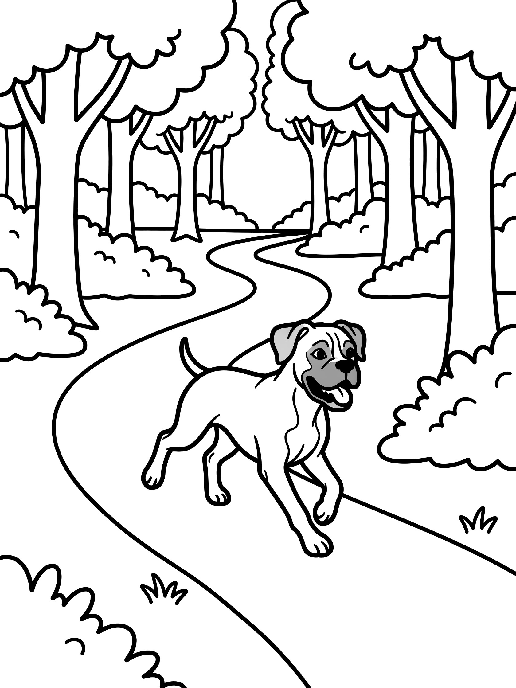 Black and white line art coloring page showing a Boxer dog running energetically on a winding path through a forest with trees and bushes