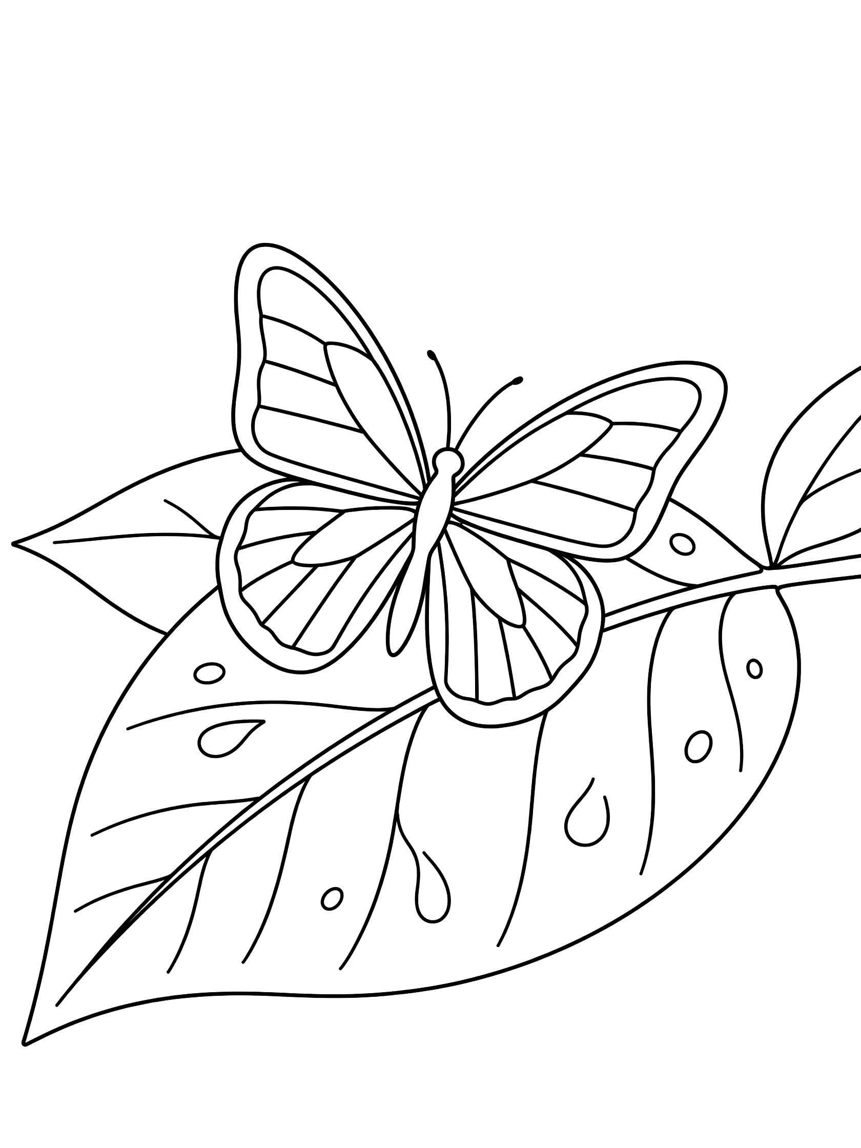 Black and white line art coloring page showing a butterfly on a broad leaf with visible veins and dew drops.