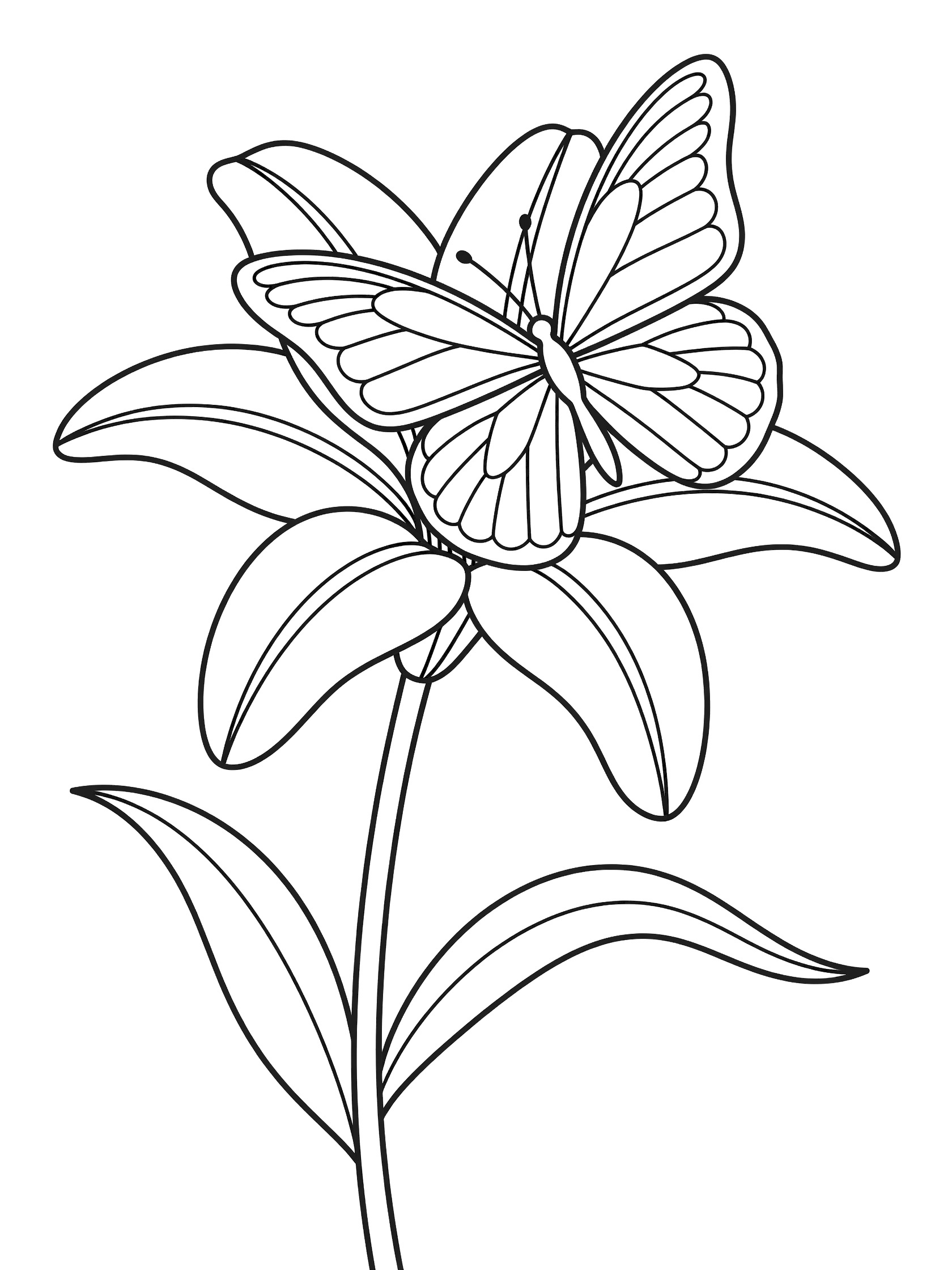 Black and white coloring page showing a butterfly with spread wings landing on a large lily flower petal, with curving stem and leaves below.