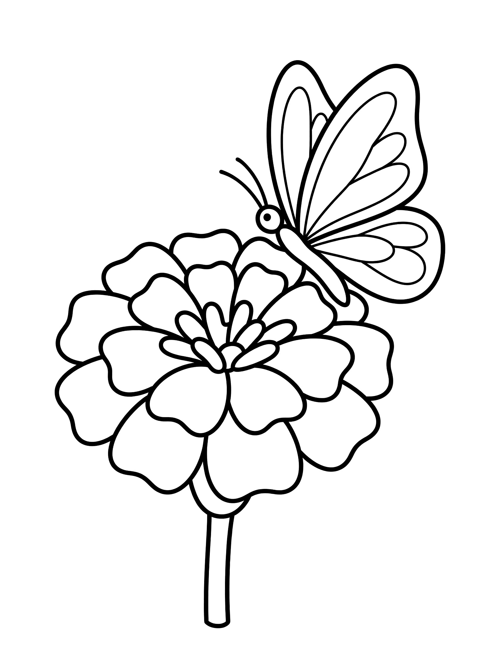 Black and white line drawing of a butterfly sitting on a marigold flower with detailed wings and ruffled petals on a stem.