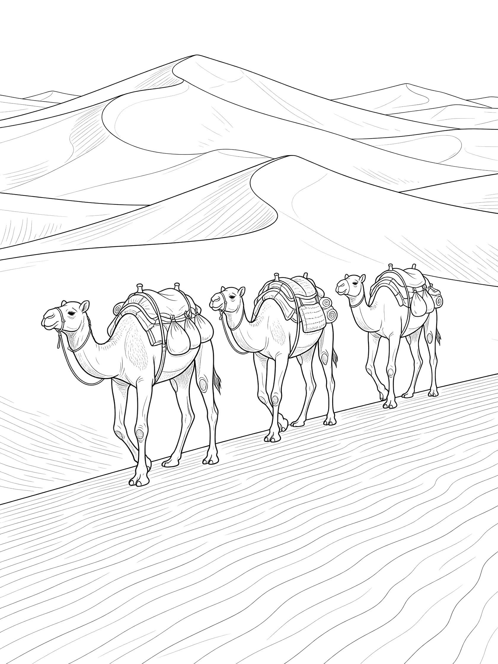 Black-and-white coloring page of three camels loaded with packs walking in a line over big sand dunes in the Sahara Desert