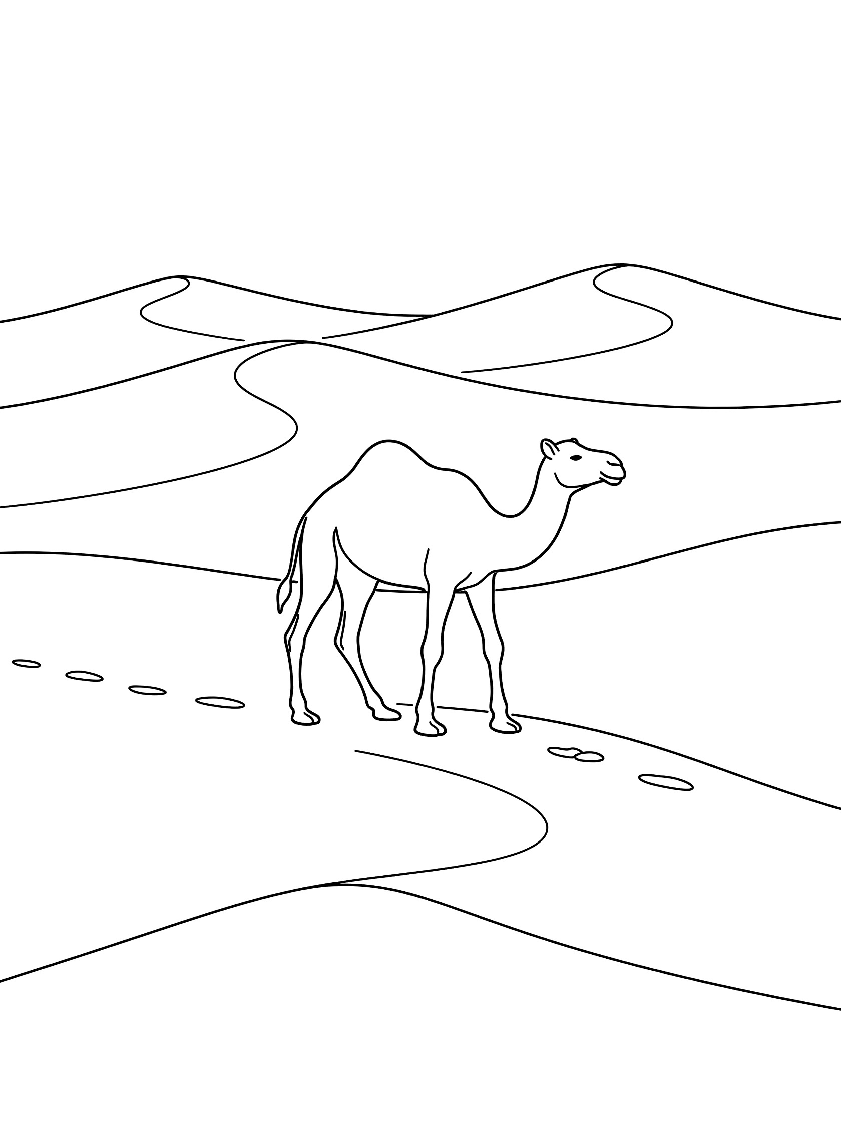 Line art coloring page showing a camel walking across curved sand dunes with footprints in the desert sand