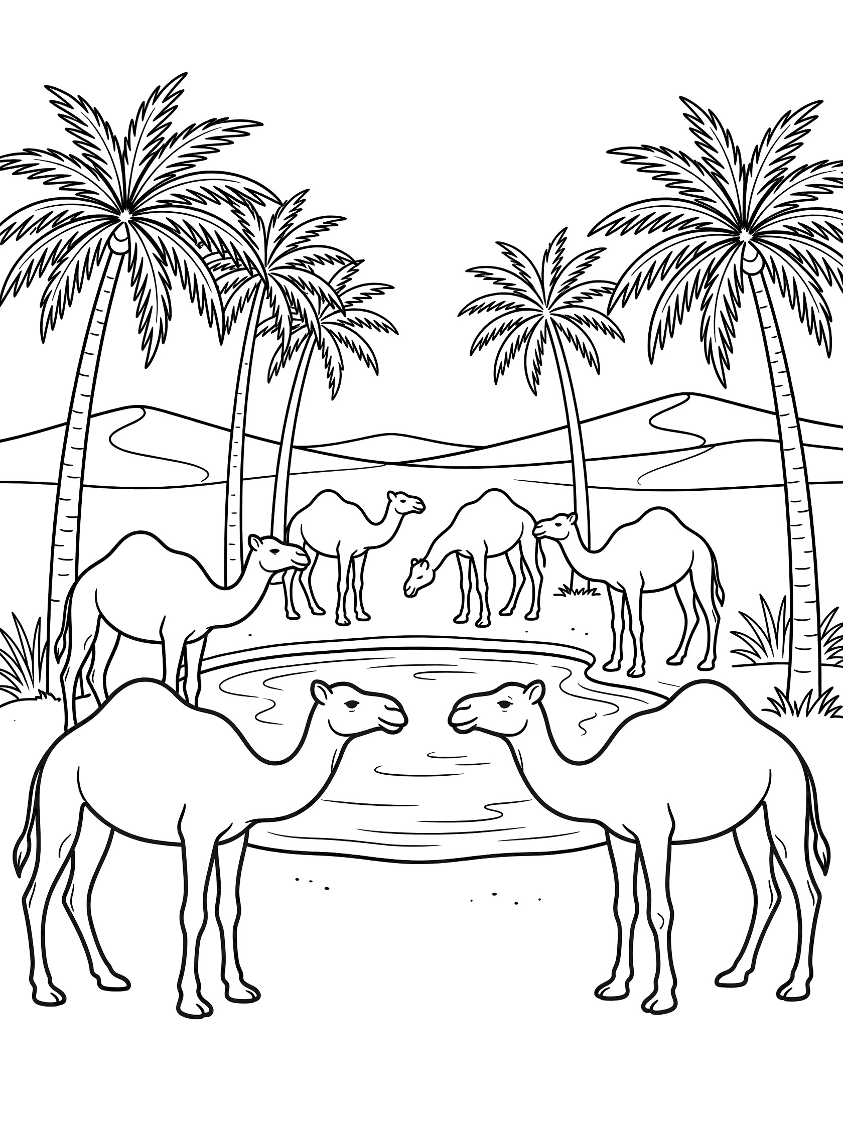 Black and white coloring page showing a group of camels drinking from a small pool at a lush oasis with palm trees in the Arabian Desert.