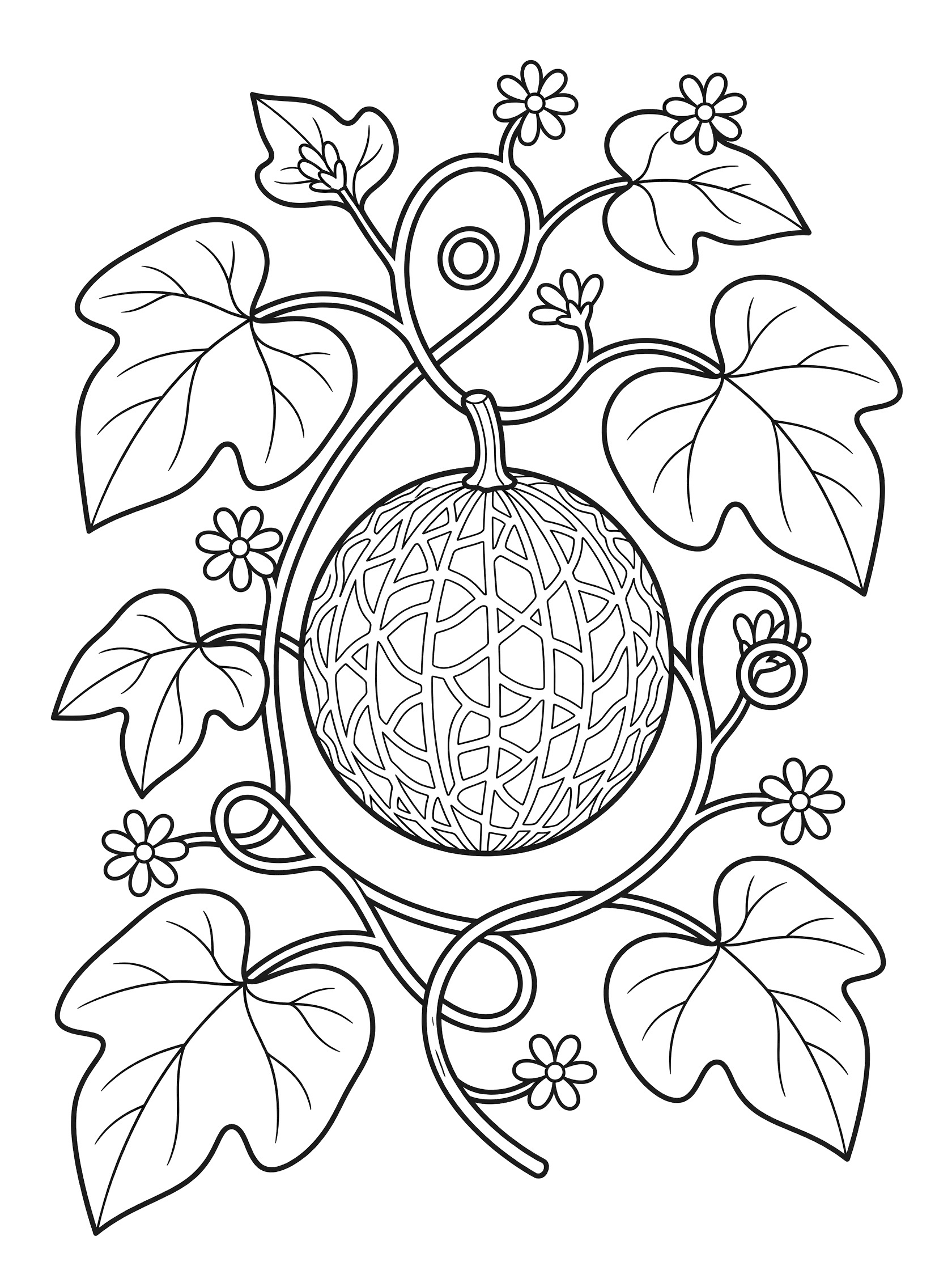 Black-and-white line art of a cantaloupe on a garden vine with leaves and flowers, perfect for kids coloring.
