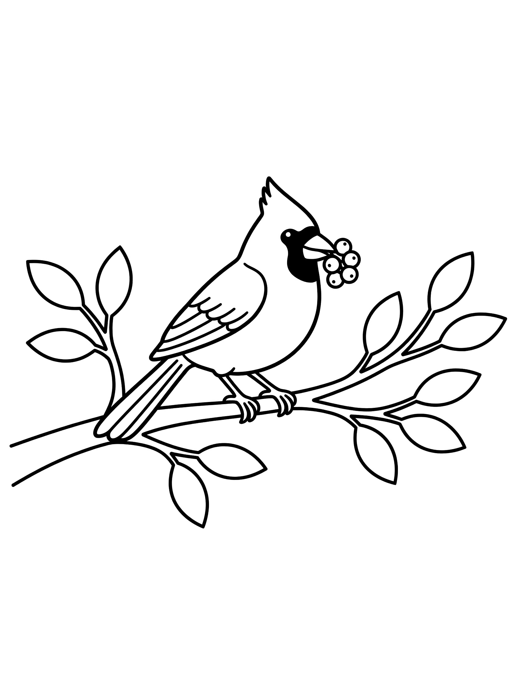 Black and white line drawing of a cardinal bird on a curved branch holding berries in its beak, surrounded by simple leaves and twigs.