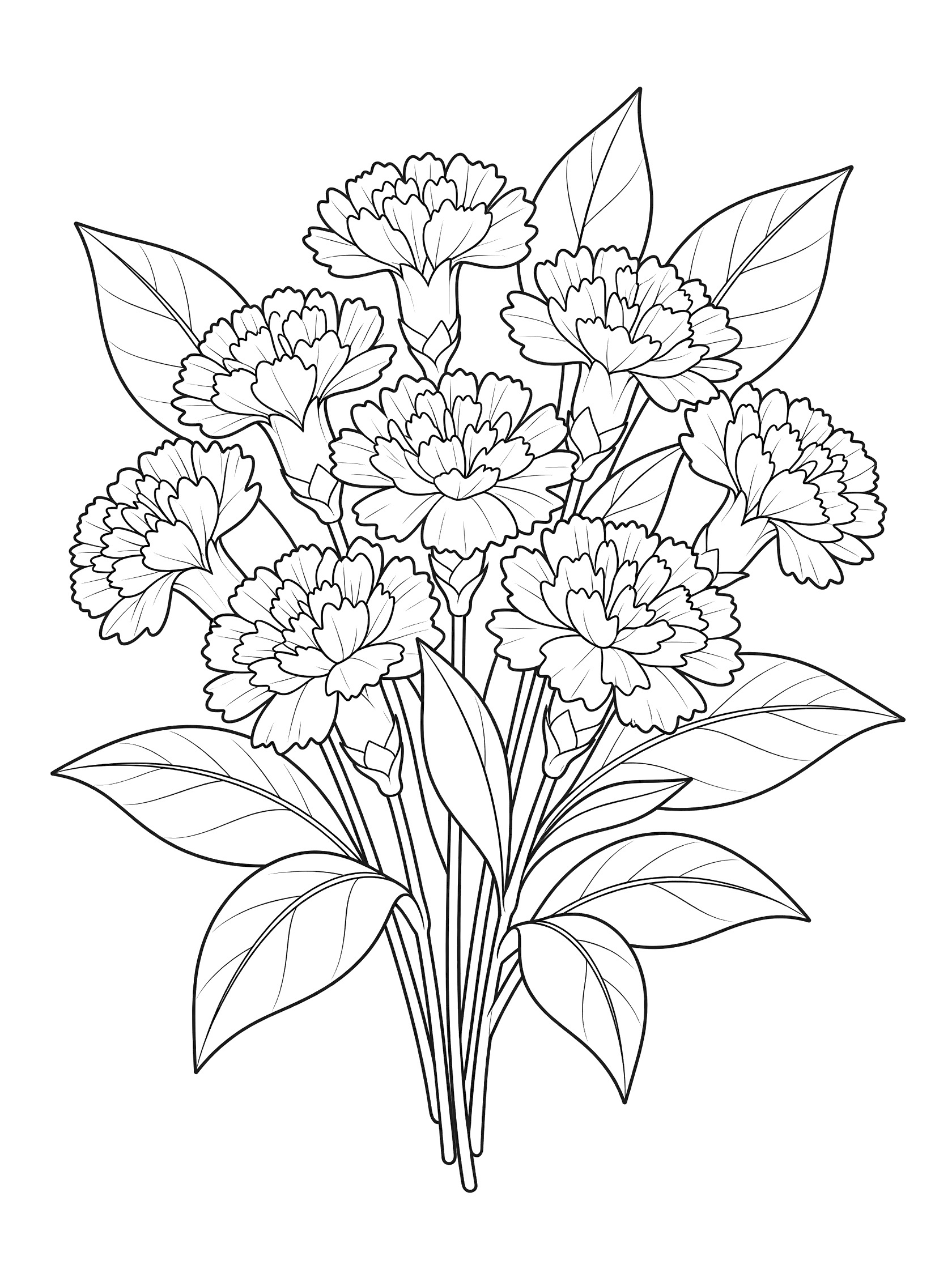 Black and white line drawing of a bouquet with multiple fluffy carnation flowers surrounded by large leaves. Bouquets themed black and white printable line art