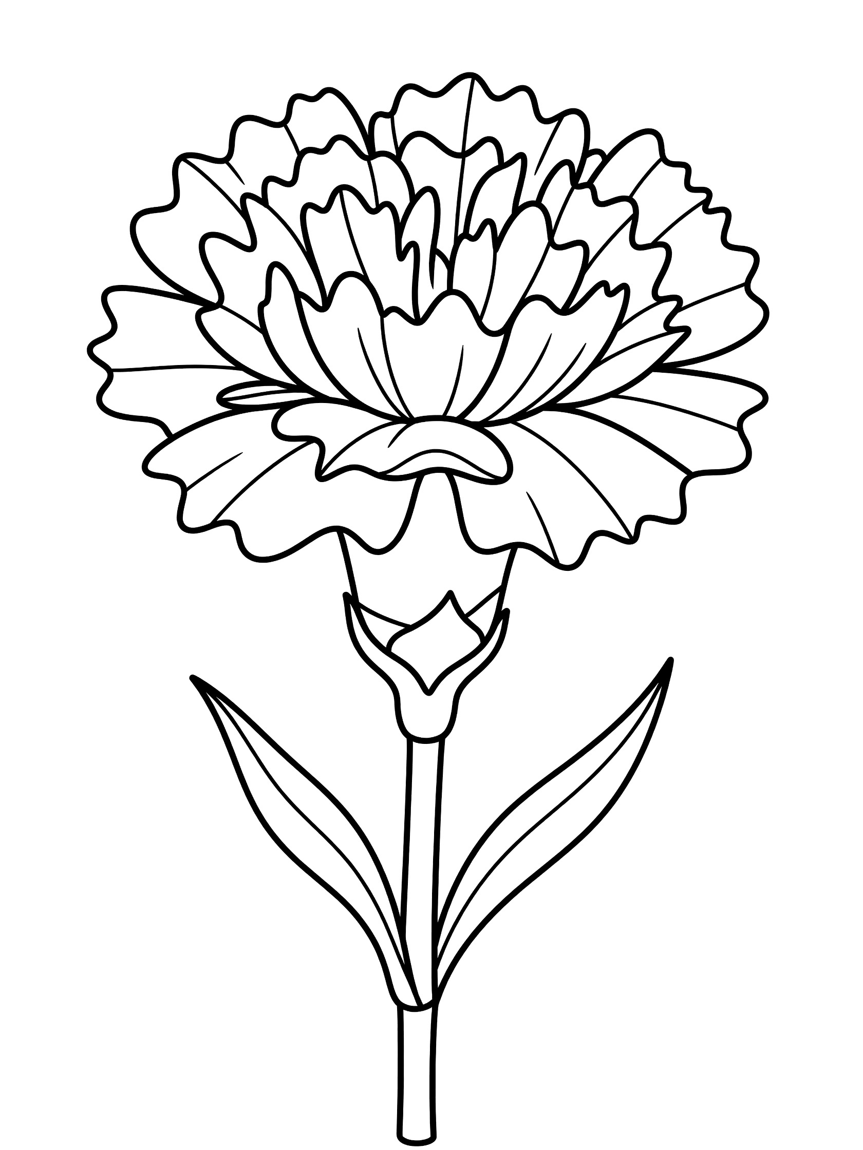 Black and white line art of a single carnation flower with layered ruffled petals, straight stem, and two simple wavy leaves.