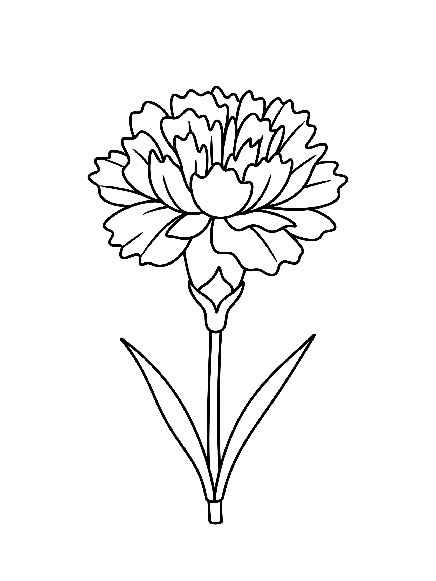 Black and white line art of a single elegant carnation flower with ruffled petals on a tall stem and two curved leaves, coloring book style.