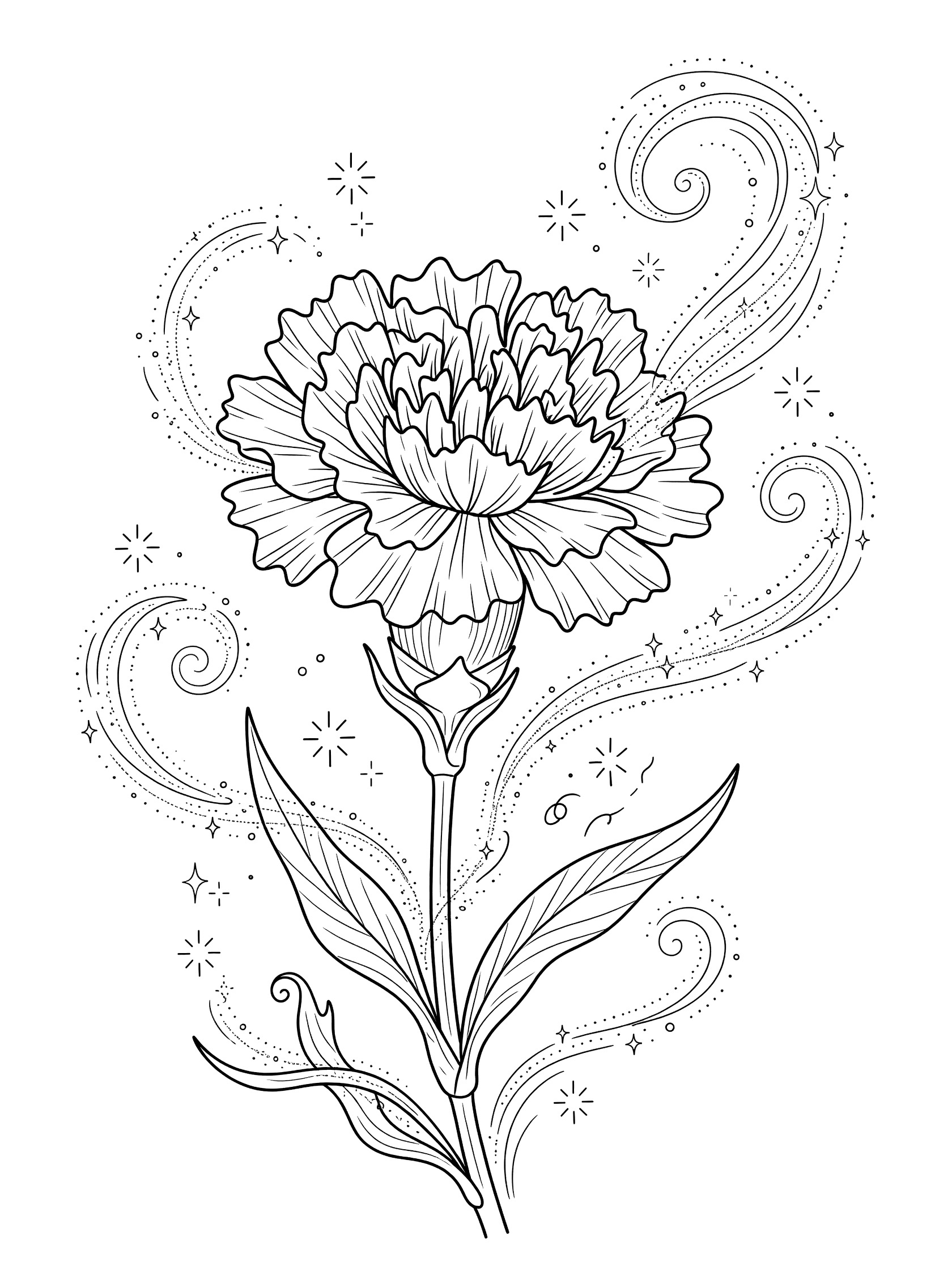 Black and white coloring page of a detailed carnation flower with ruffled petals, stem, leaves, and swirling magical trails with stars and sparkles.