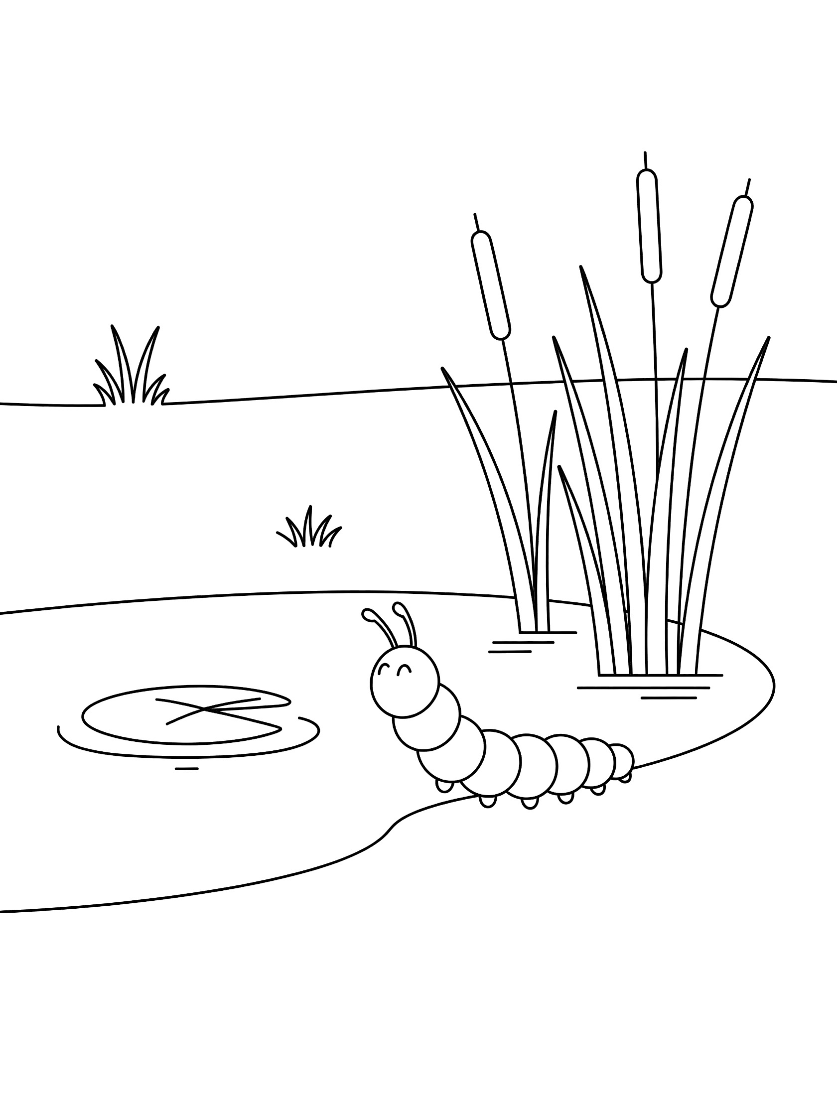 Black and white line art coloring page showing a happy caterpillar by a pond edge with a lily pad, tall reeds, and water lines.