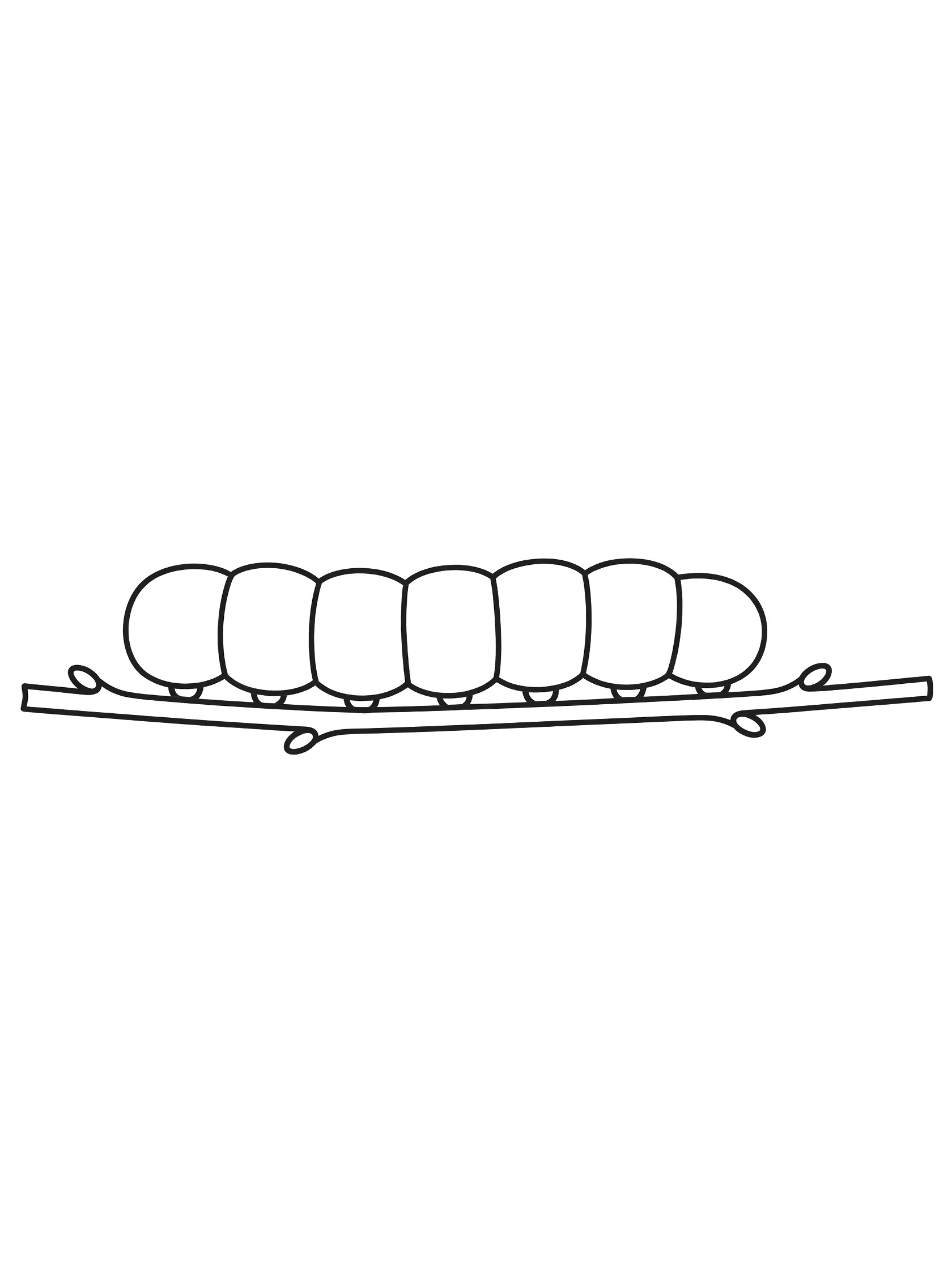 Black and white printable coloring page showing a long segmented caterpillar on a straight branch with small buds